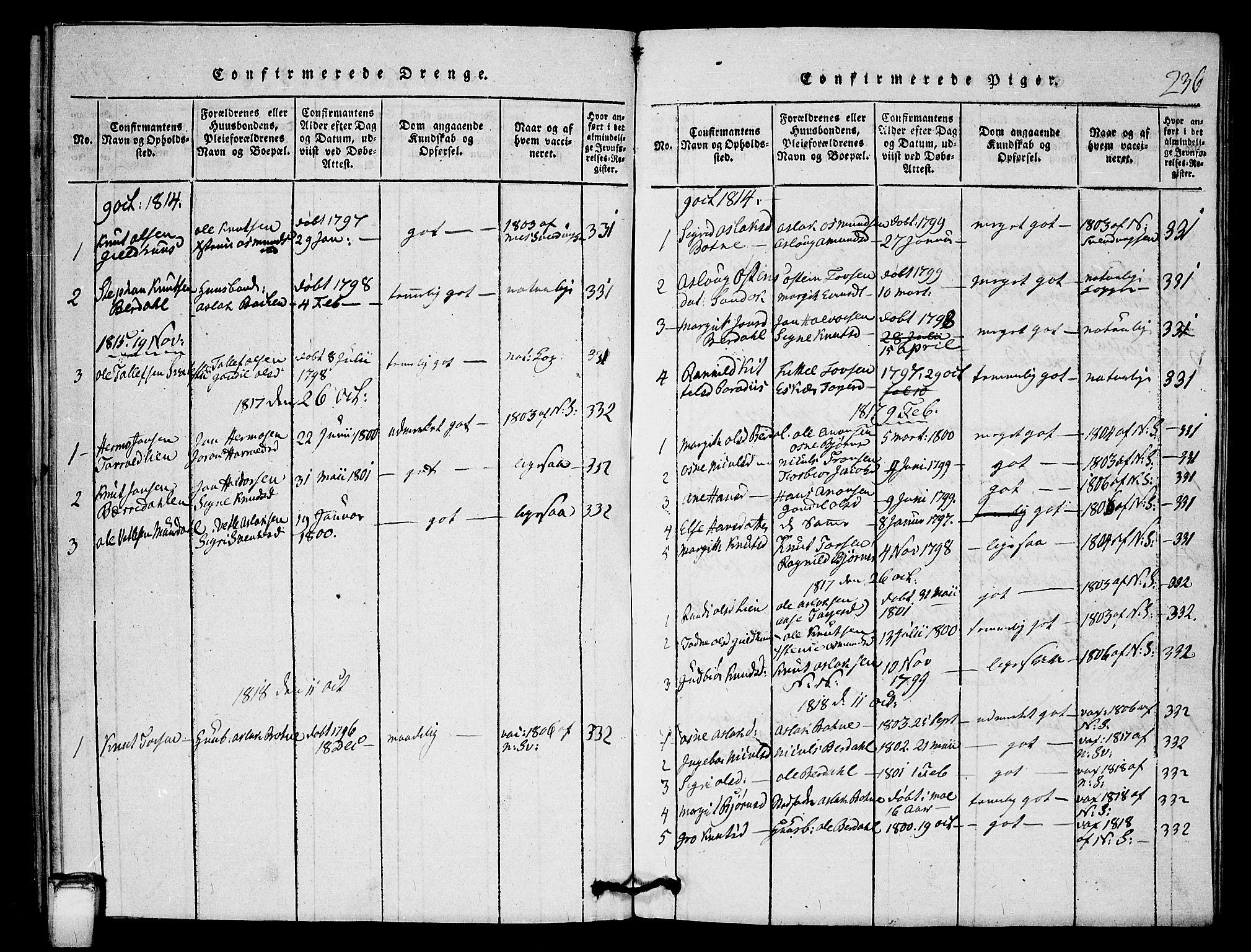 Vinje kirkebøker, AV/SAKO-A-312/G/Gb/L0001: Parish register (copy) no. II 1, 1814-1843, p. 236