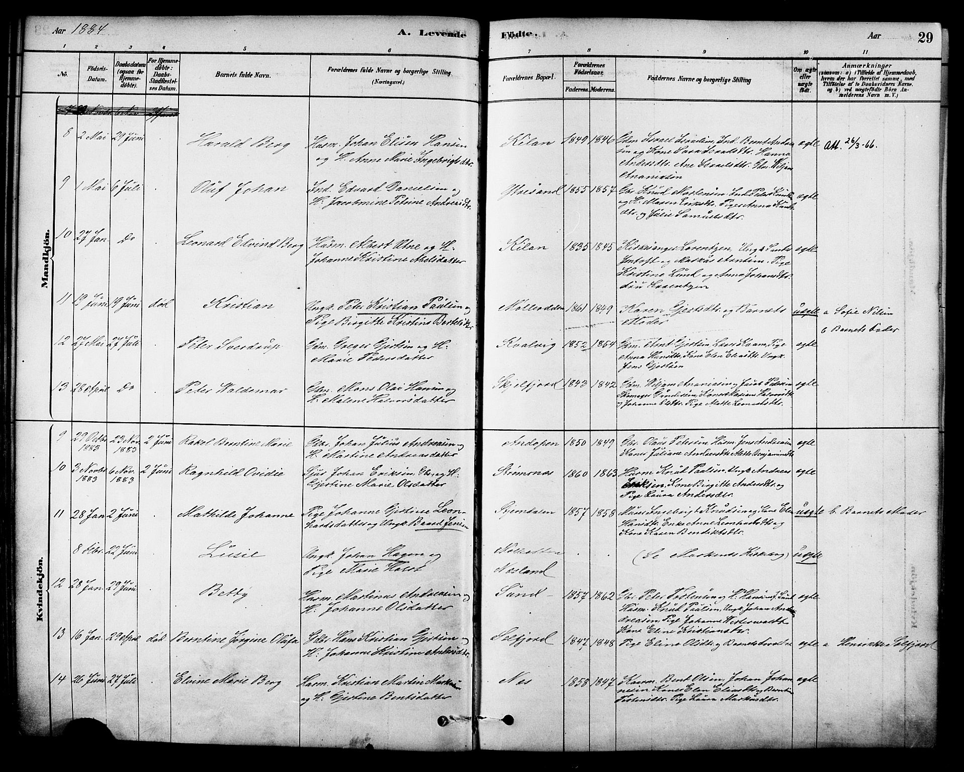 Ministerialprotokoller, klokkerbøker og fødselsregistre - Nordland, AV/SAT-A-1459/885/L1204: Parish register (official) no. 885A05, 1878-1892, p. 29