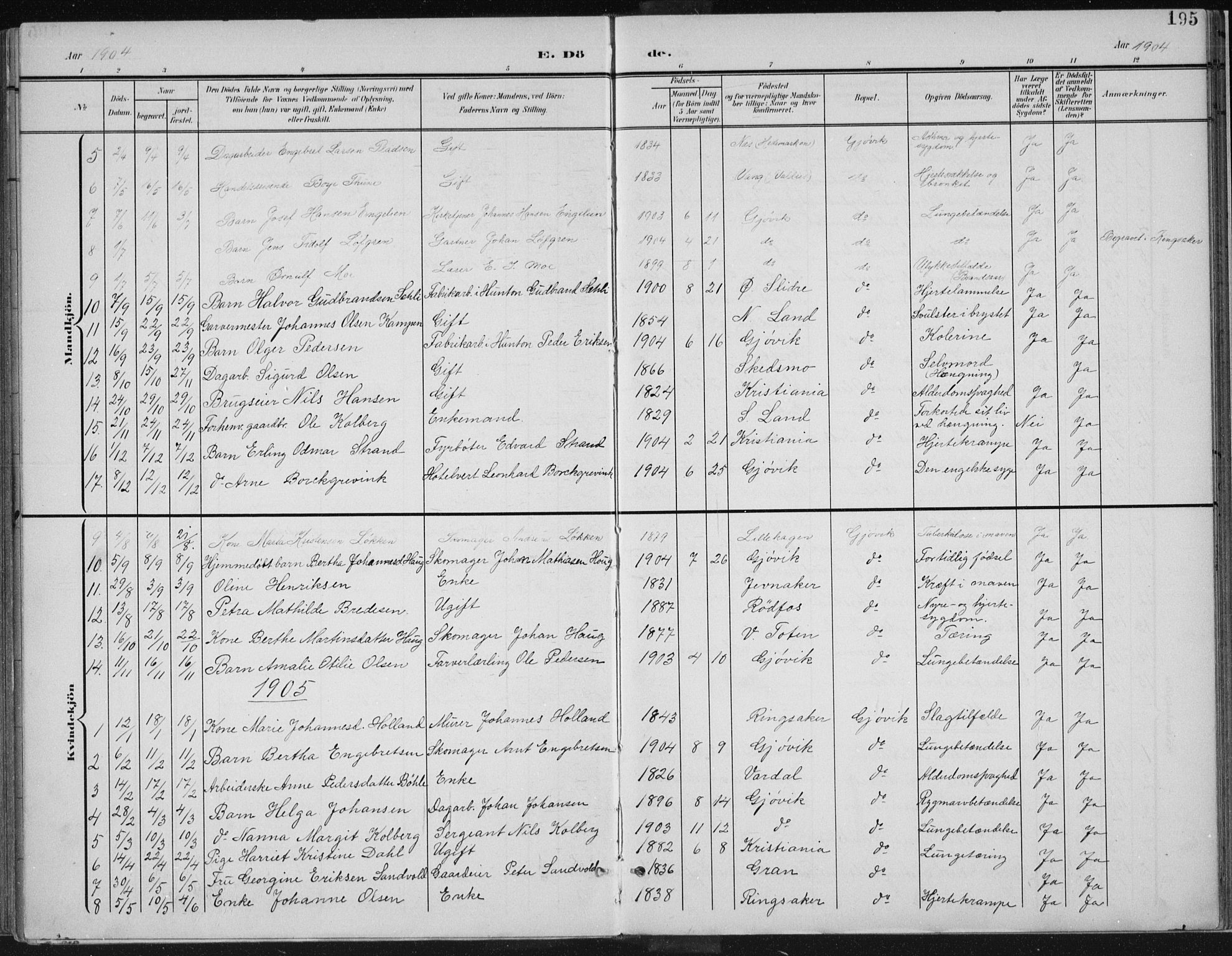 Vardal prestekontor, SAH/PREST-100/H/Ha/Haa/L0013: Parish register (official) no. 13, 1901-1911, p. 195