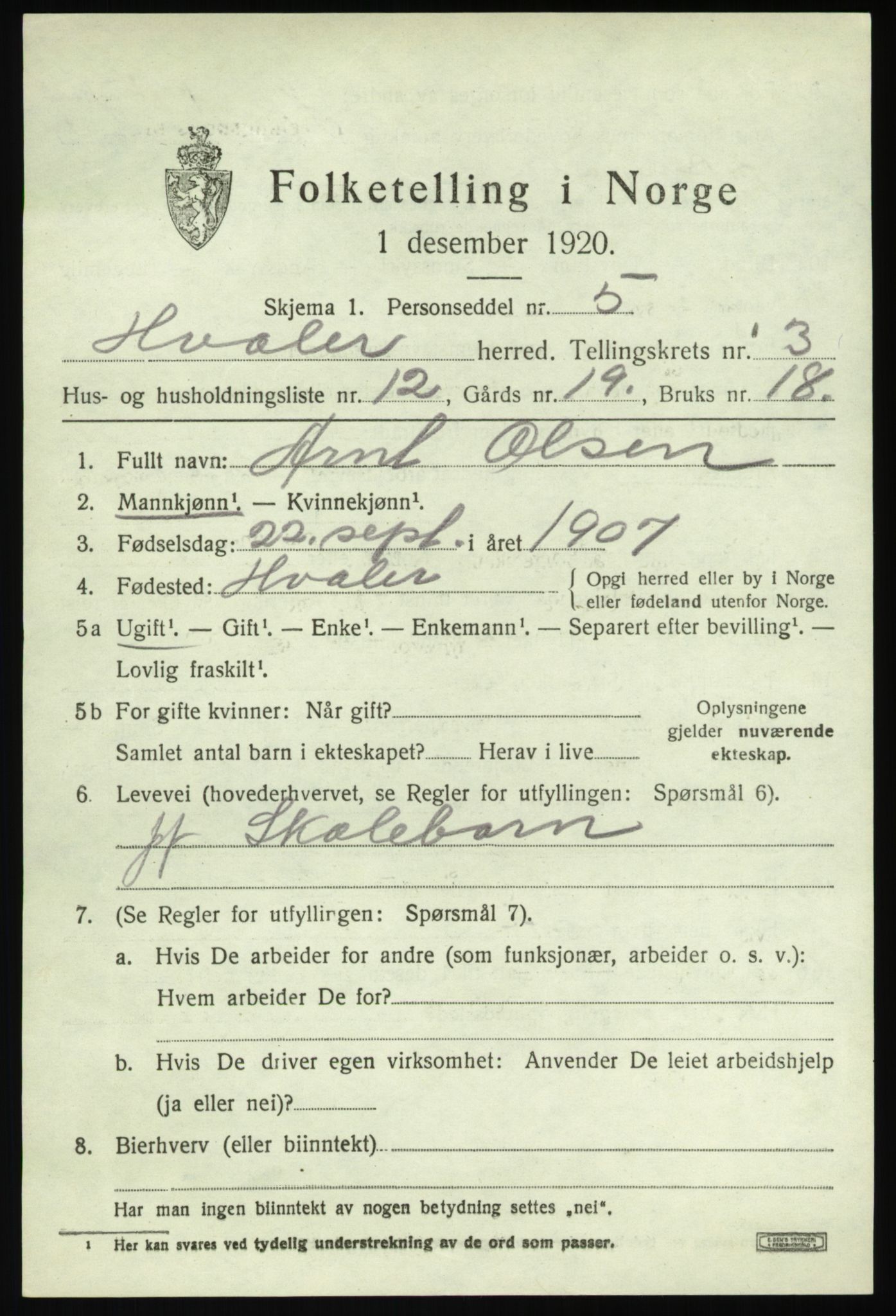 SAO, 1920 census for Hvaler, 1920, p. 4128