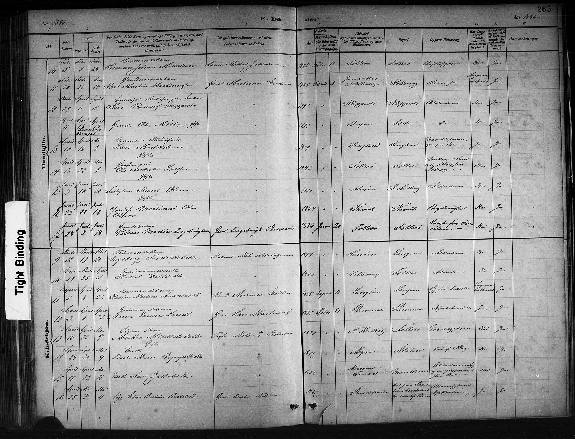 Askøy Sokneprestembete, SAB/A-74101/H/Ha/Hab/Haba/L0008: Parish register (copy) no. A 8, 1882-1893, p. 265