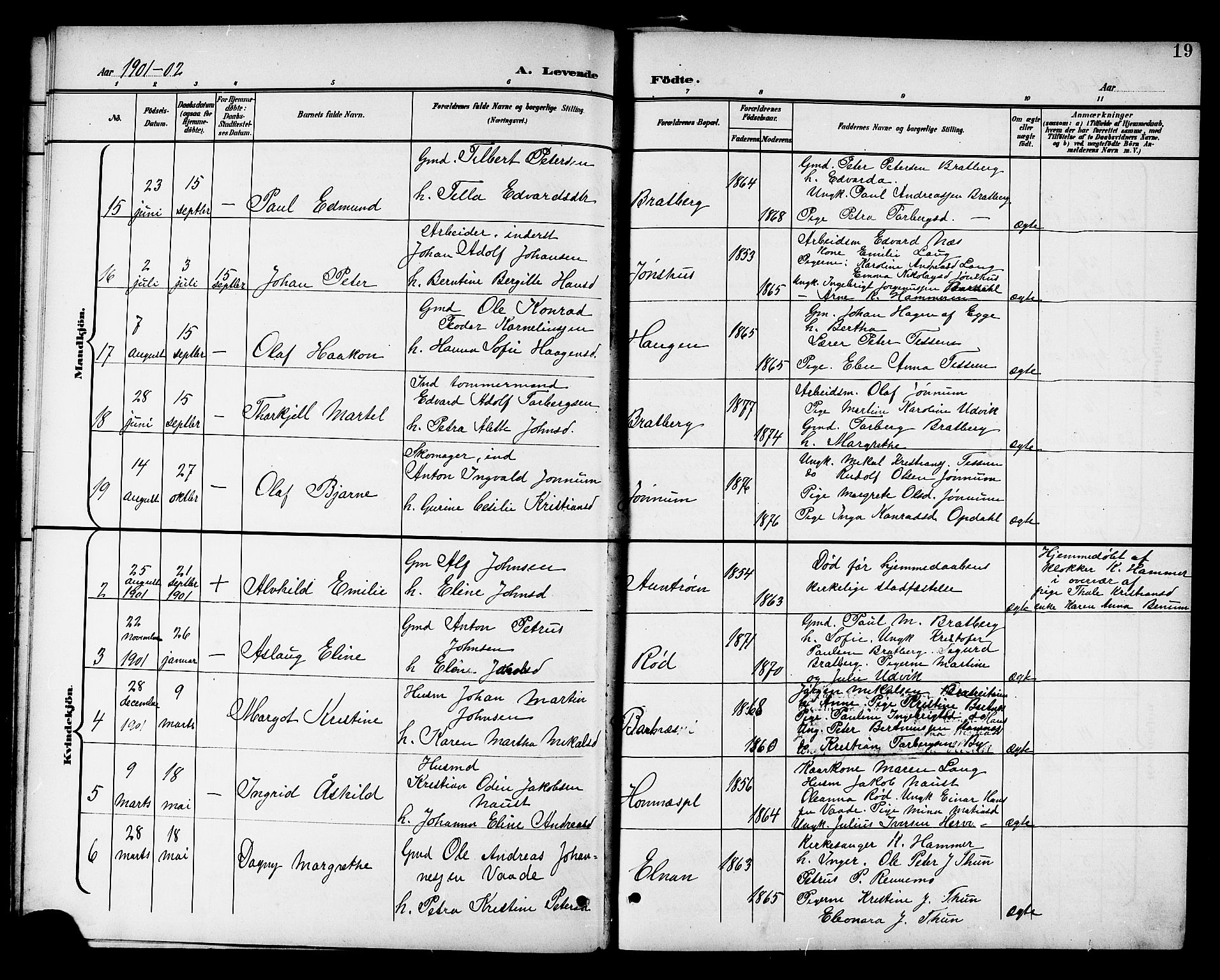 Ministerialprotokoller, klokkerbøker og fødselsregistre - Nord-Trøndelag, SAT/A-1458/741/L0401: Parish register (copy) no. 741C02, 1899-1911, p. 19