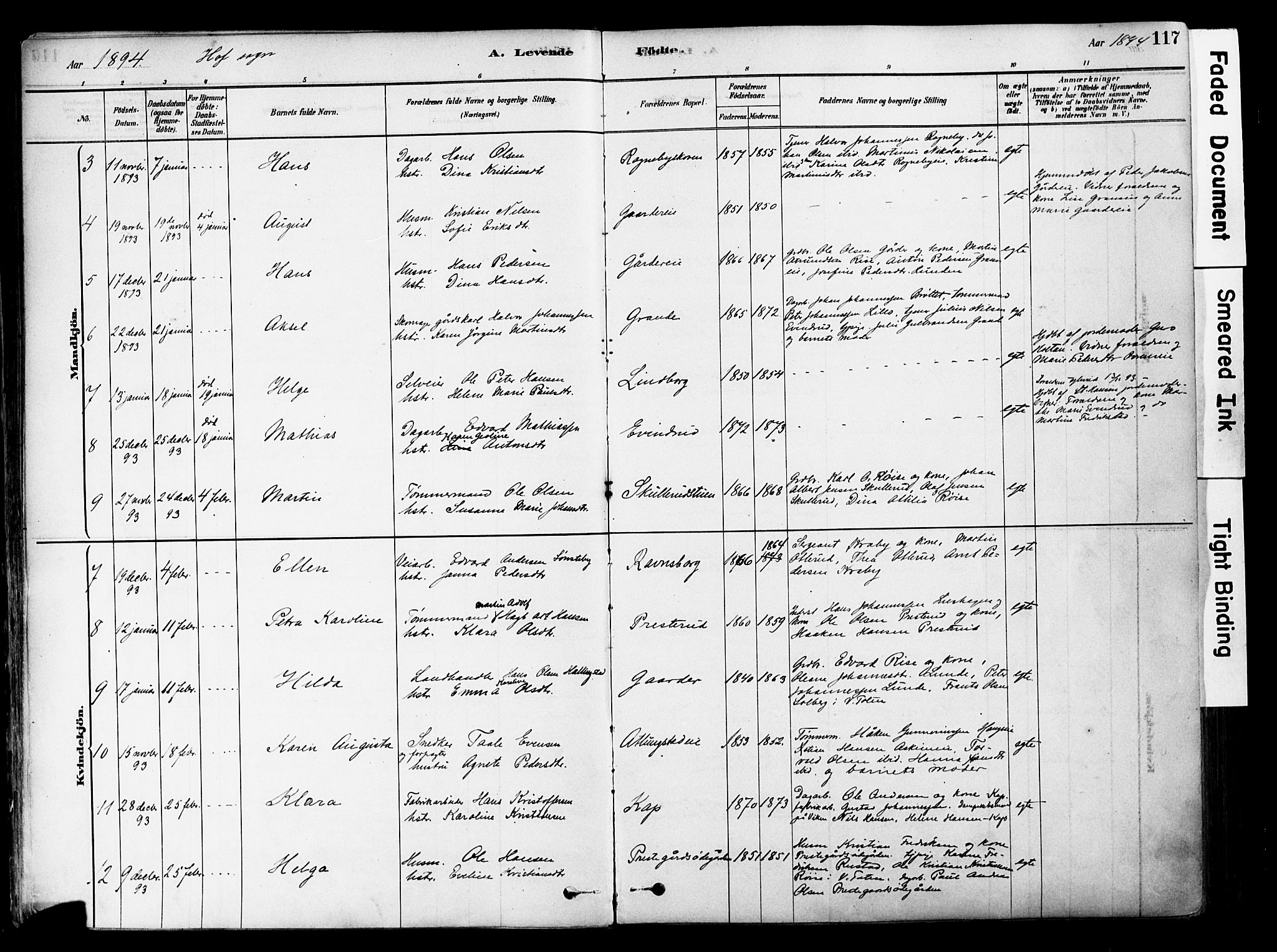 Østre Toten prestekontor, SAH/PREST-104/H/Ha/Haa/L0006: Parish register (official) no. 6 /1, 1878-1896, p. 117