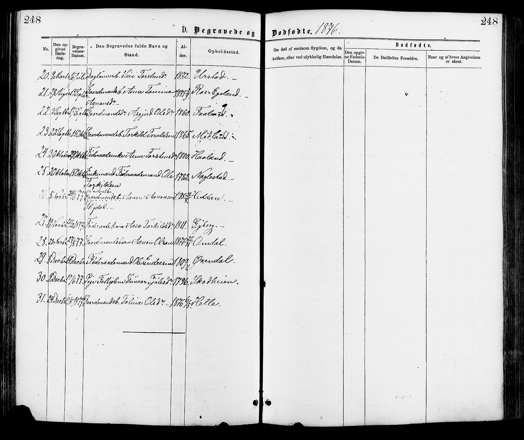 Hægebostad sokneprestkontor, AV/SAK-1111-0024/F/Fa/Faa/L0005: Parish register (official) no. A 5, 1864-1886, p. 248