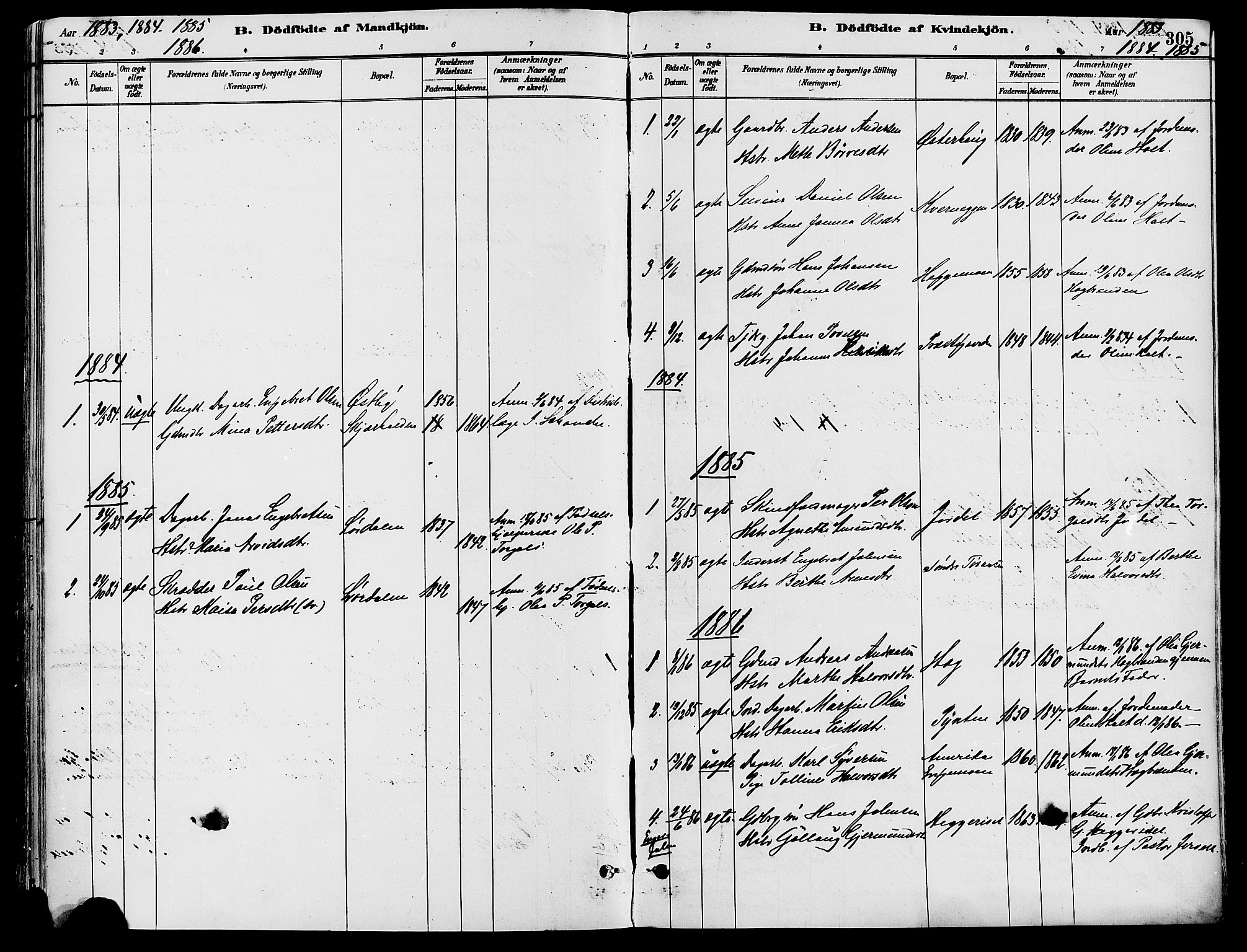 Trysil prestekontor, SAH/PREST-046/H/Ha/Haa/L0008: Parish register (official) no. 8, 1881-1897, p. 305