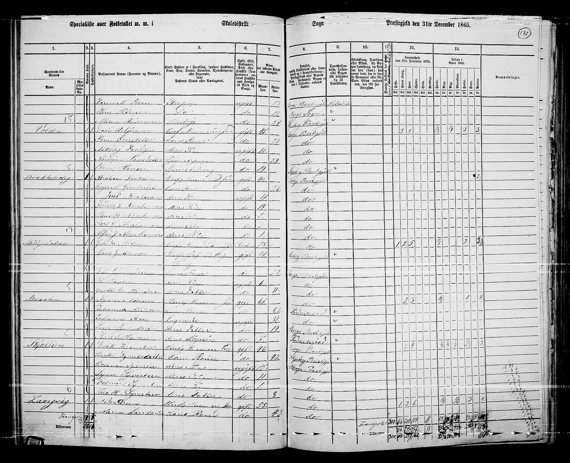 RA, 1865 census for Borge, 1865, p. 120