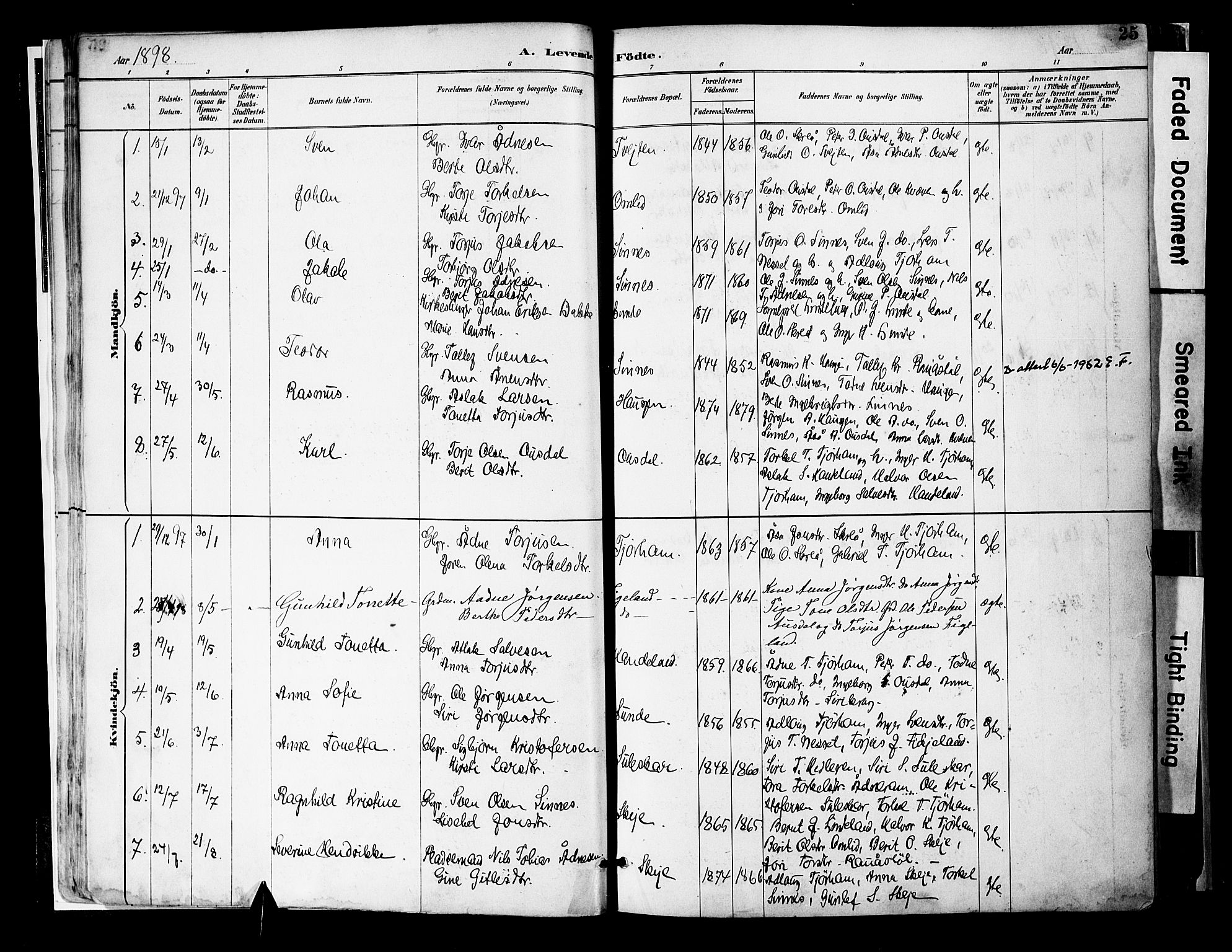 Sirdal sokneprestkontor, AV/SAK-1111-0036/F/Fa/Faa/L0001: Parish register (official) no. A 1, 1887-1910, p. 25