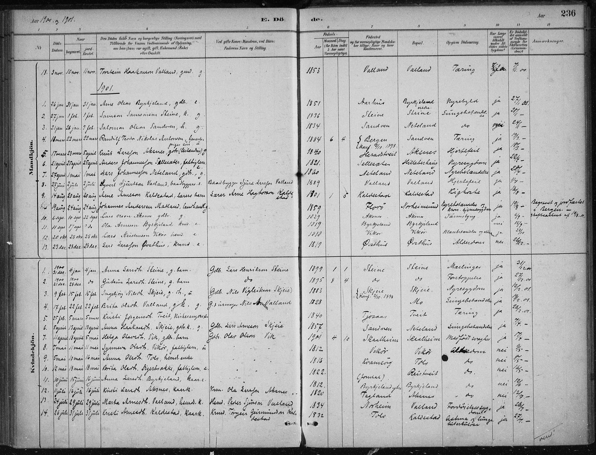 Kvam sokneprestembete, SAB/A-76201/H/Haa: Parish register (official) no. B  1, 1880-1908, p. 236