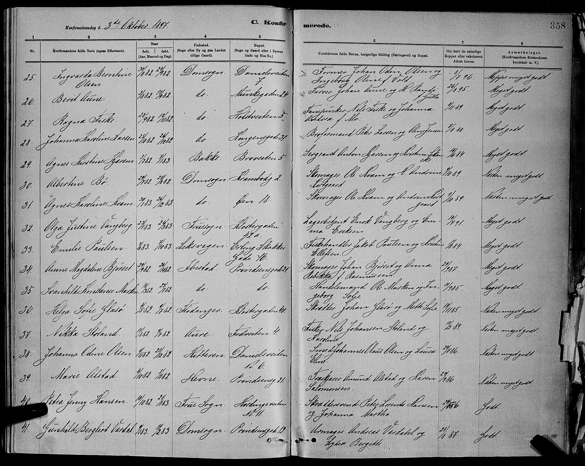 Ministerialprotokoller, klokkerbøker og fødselsregistre - Sør-Trøndelag, AV/SAT-A-1456/601/L0092: Parish register (copy) no. 601C10, 1884-1897, p. 358