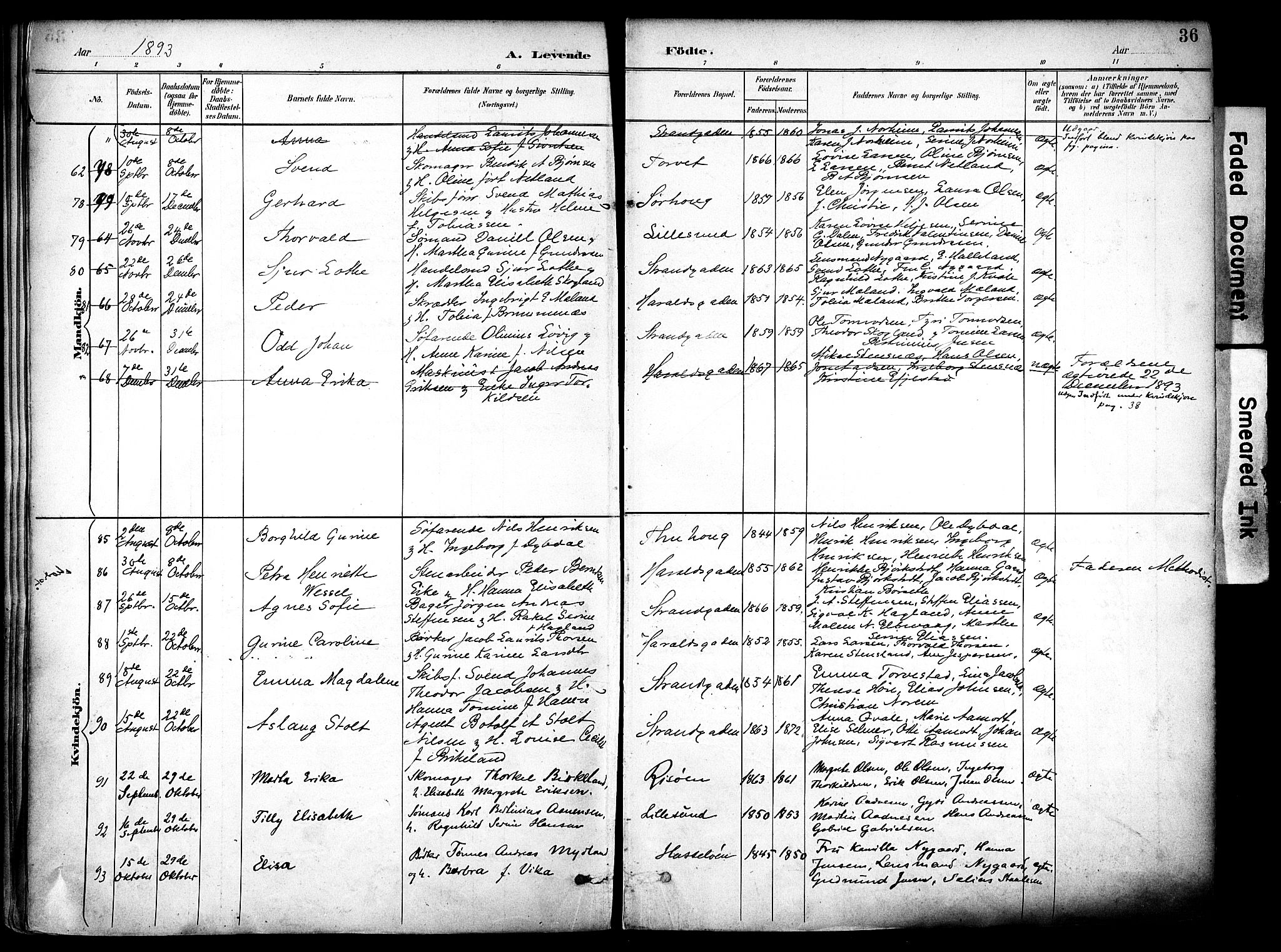 Haugesund sokneprestkontor, AV/SAST-A -101863/H/Ha/Haa/L0006: Parish register (official) no. A 6, 1891-1907, p. 36