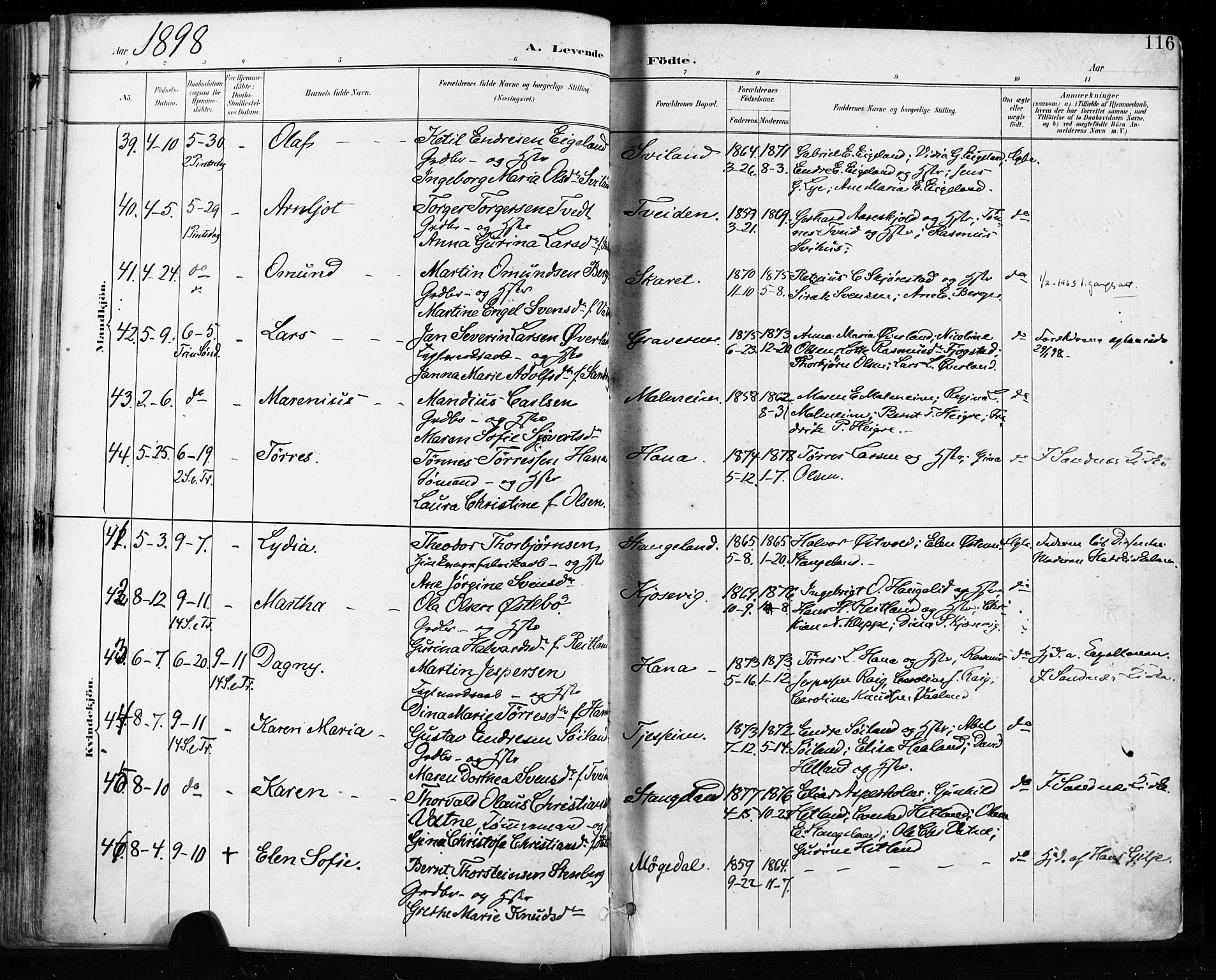 Høyland sokneprestkontor, AV/SAST-A-101799/001/30BA/L0013: Parish register (official) no. A 13.1, 1889-1898, p. 116