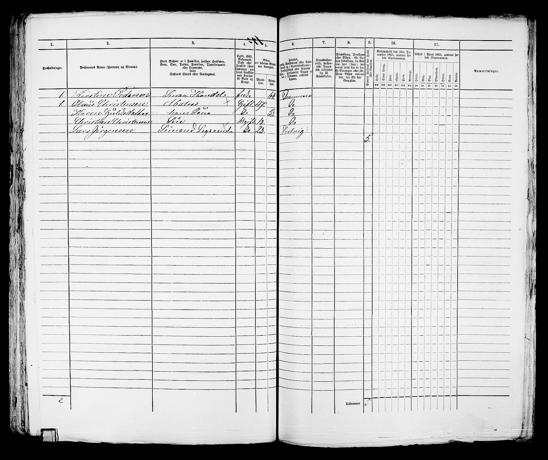 RA, 1865 census for Strømsø in Drammen, 1865, p. 300