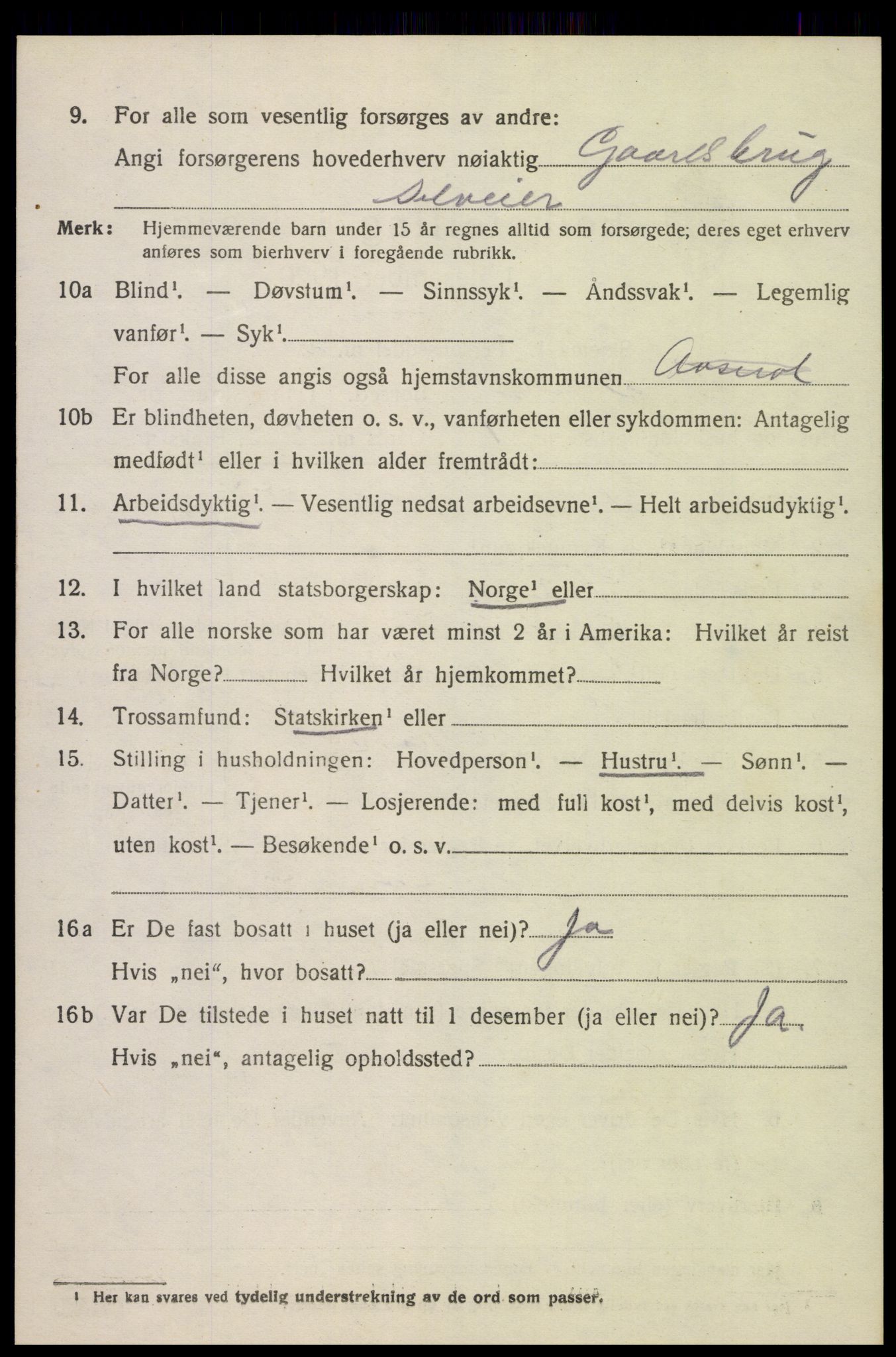 SAK, 1920 census for Åseral, 1920, p. 1799