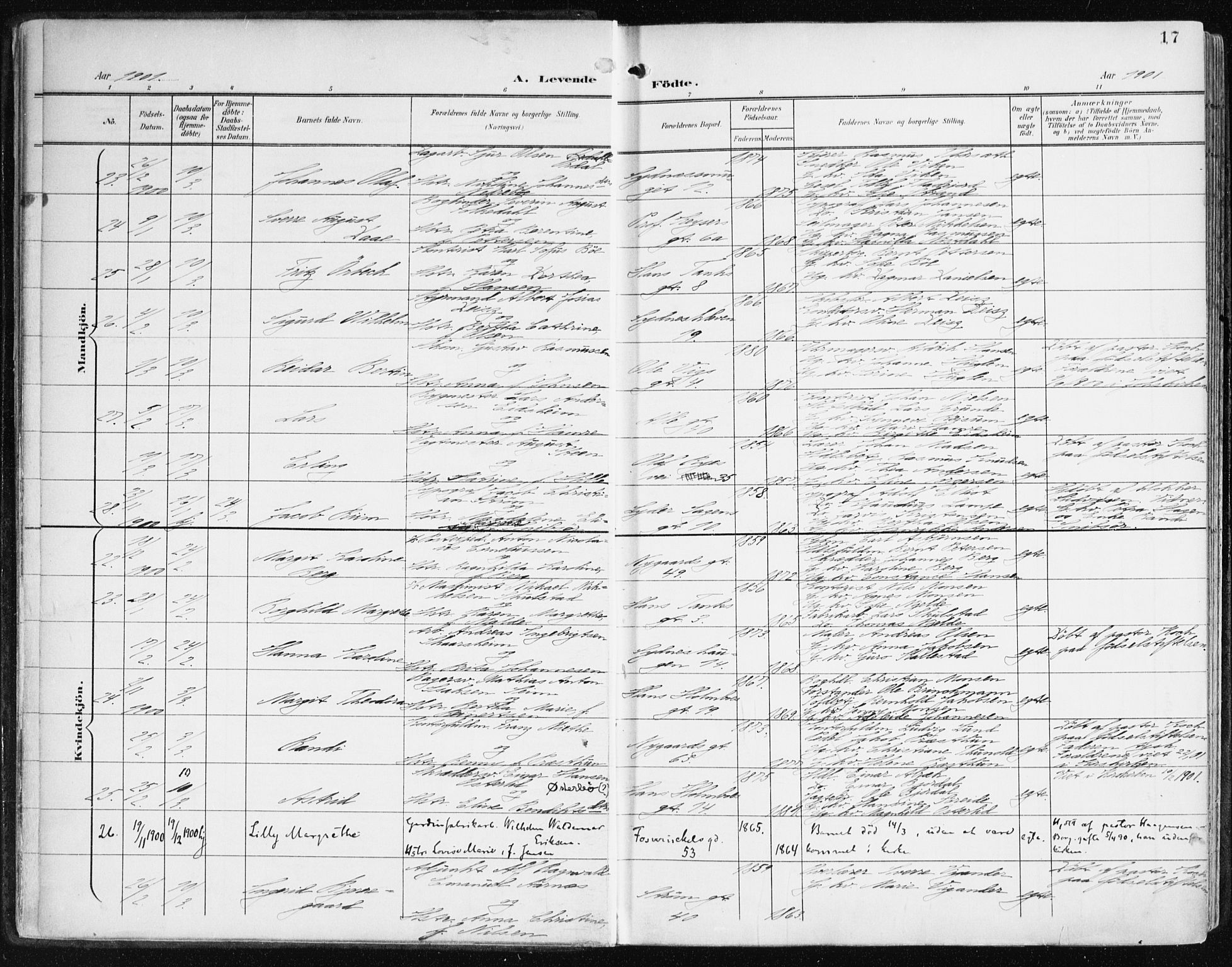 Johanneskirken sokneprestembete, AV/SAB-A-76001/H/Haa/L0002: Parish register (official) no. A 2, 1900-1912, p. 17