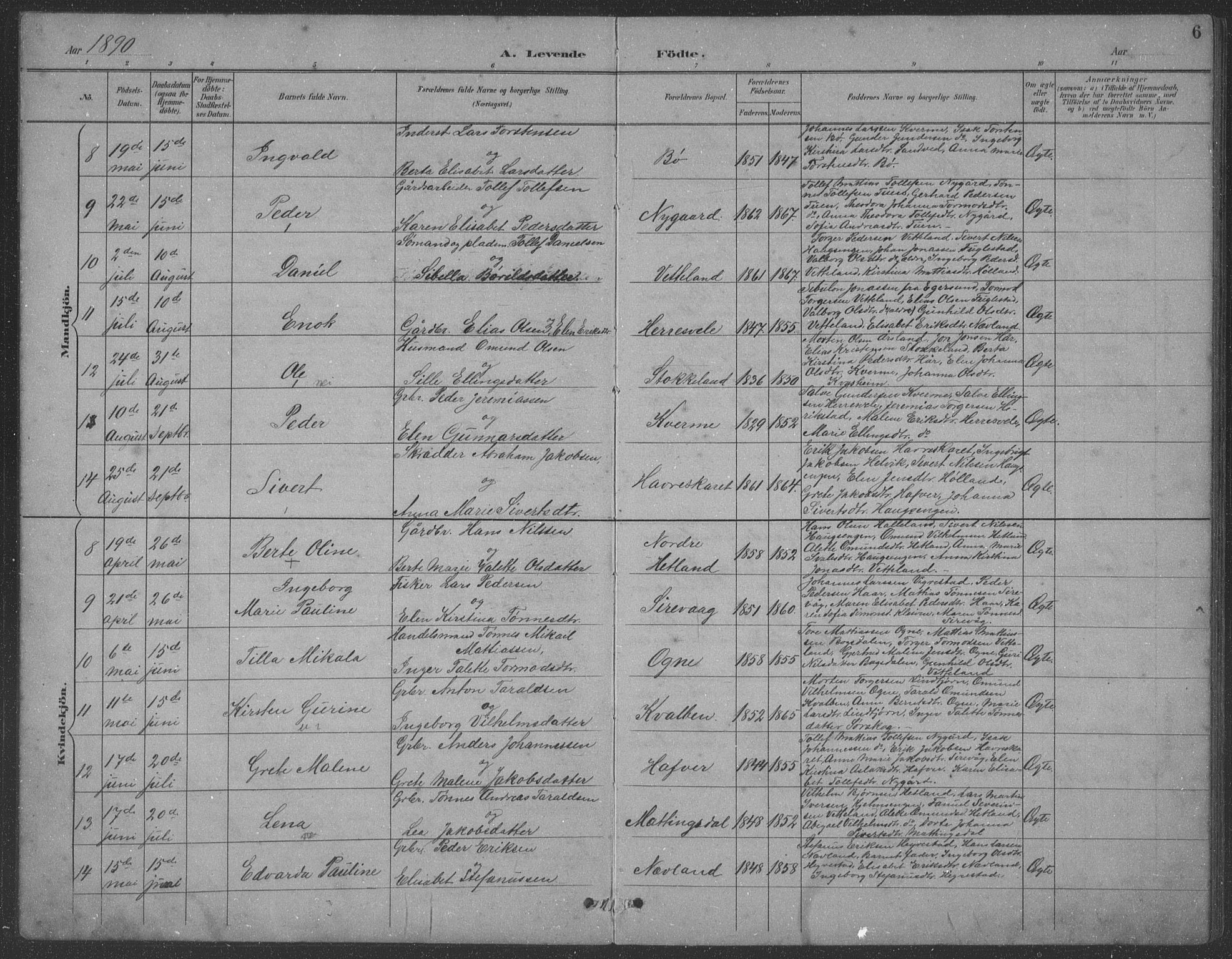 Eigersund sokneprestkontor, AV/SAST-A-101807/S09: Parish register (copy) no. B 21, 1890-1915, p. 6