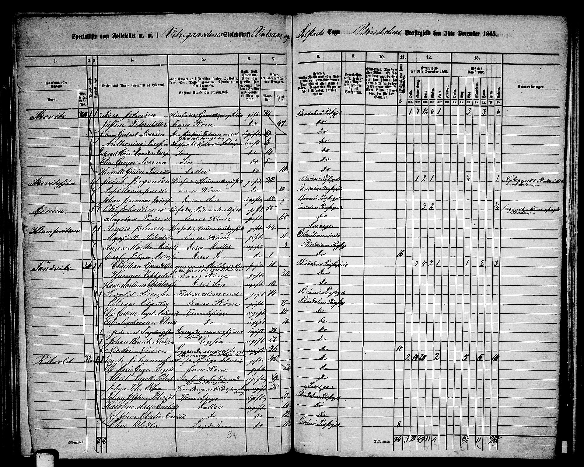 RA, 1865 census for Bindal, 1865, p. 76