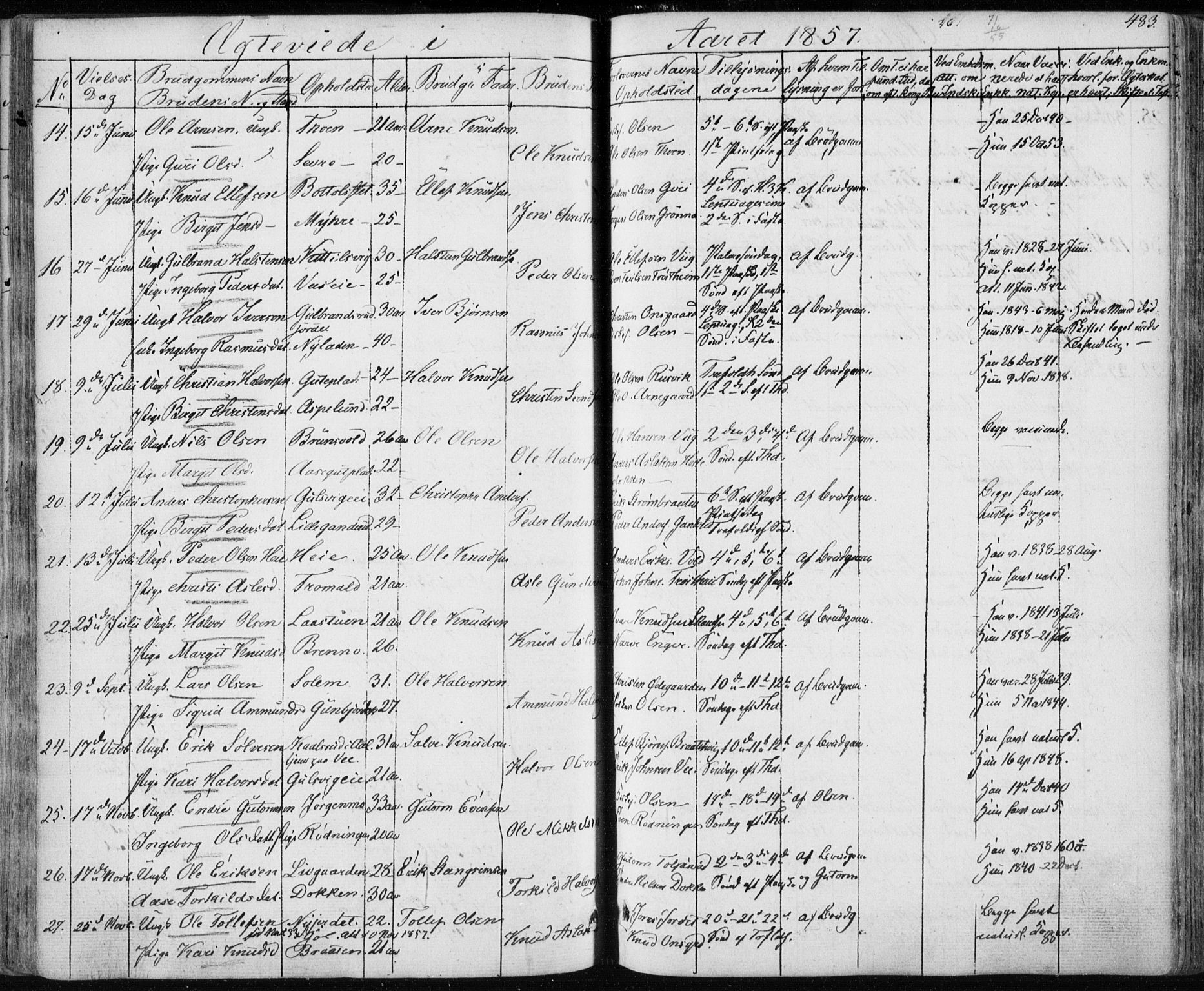 Nes kirkebøker, AV/SAKO-A-236/F/Fa/L0009: Parish register (official) no. 9, 1834-1863, p. 483