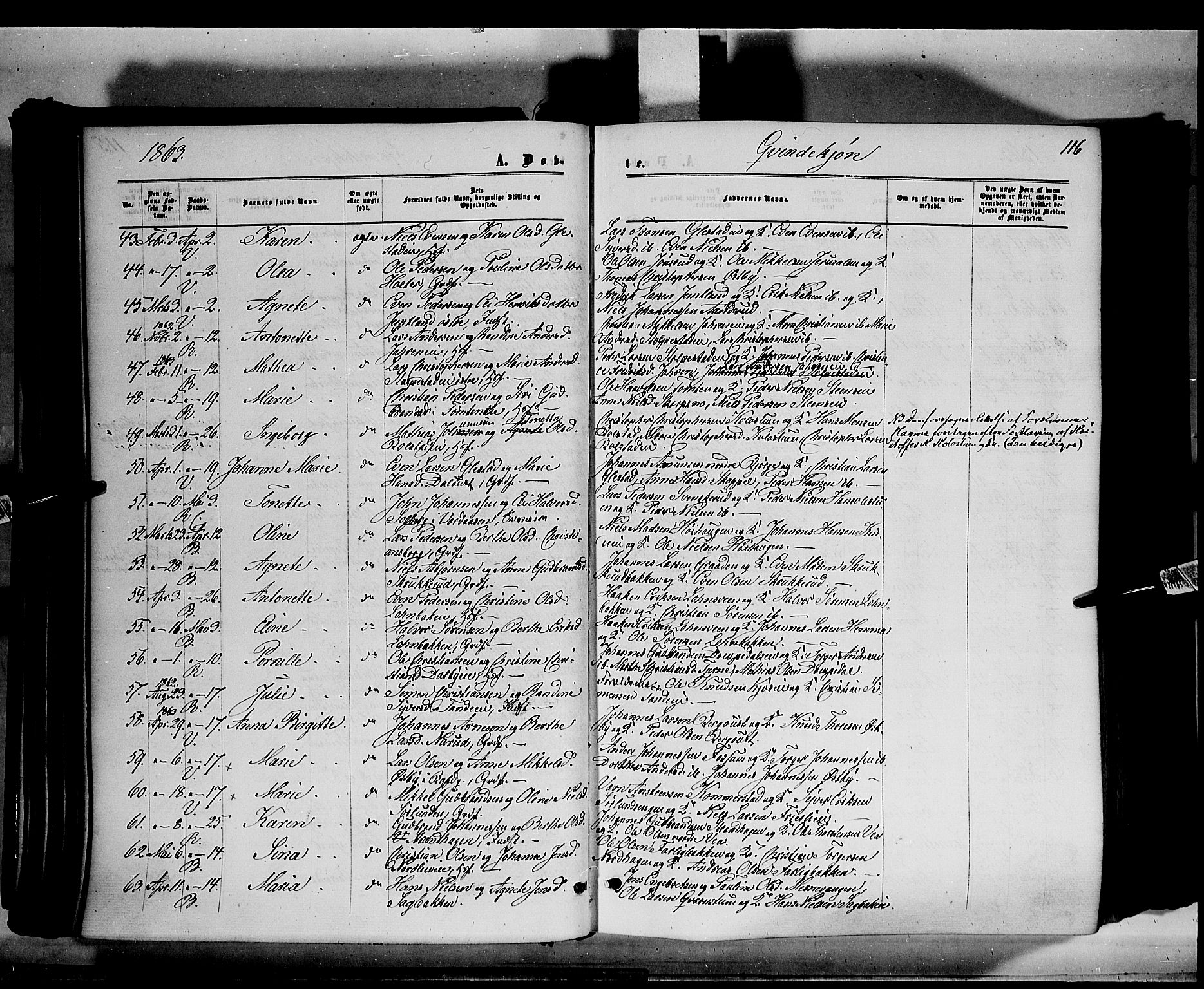 Ringsaker prestekontor, AV/SAH-PREST-014/K/Ka/L0010: Parish register (official) no. 10, 1861-1869, p. 116