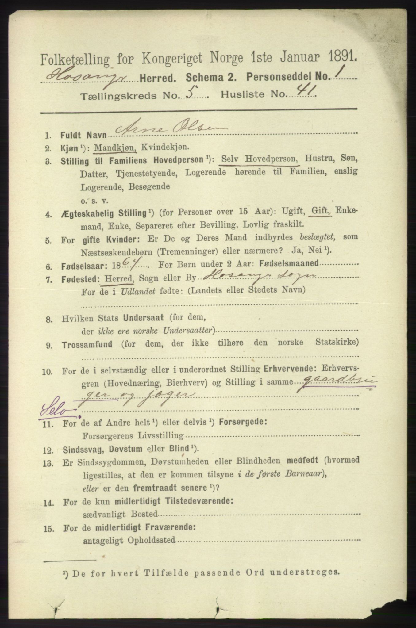 RA, 1891 census for 1253 Hosanger, 1891, p. 2078