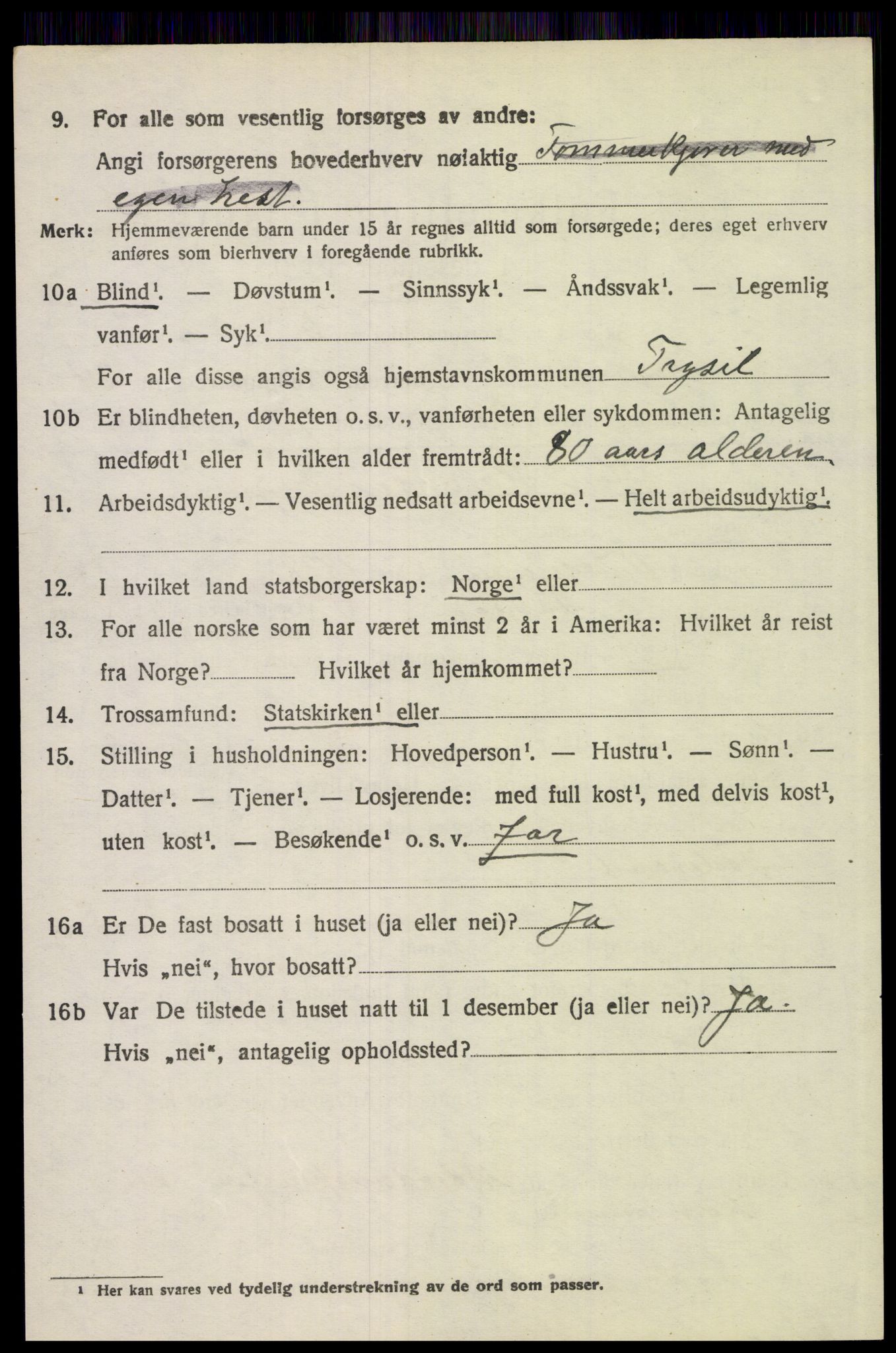 SAH, 1920 census for Trysil, 1920, p. 15688