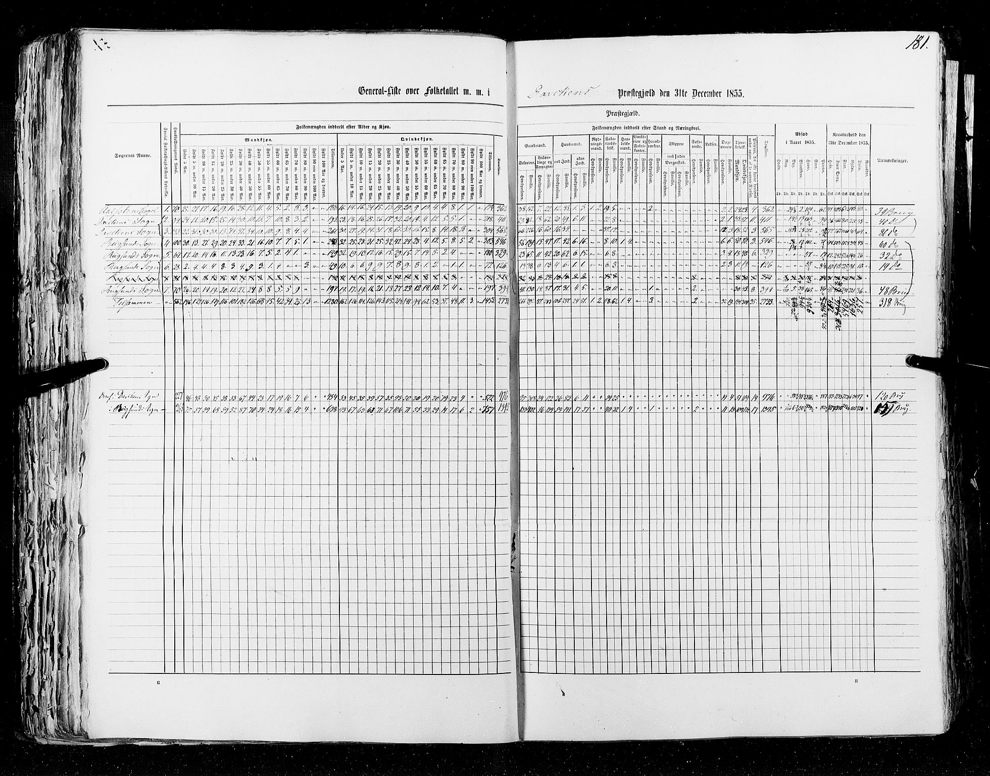 RA, Census 1855, vol. 5: Nordre Bergenhus amt, Romsdal amt og Søndre Trondhjem amt, 1855, p. 181