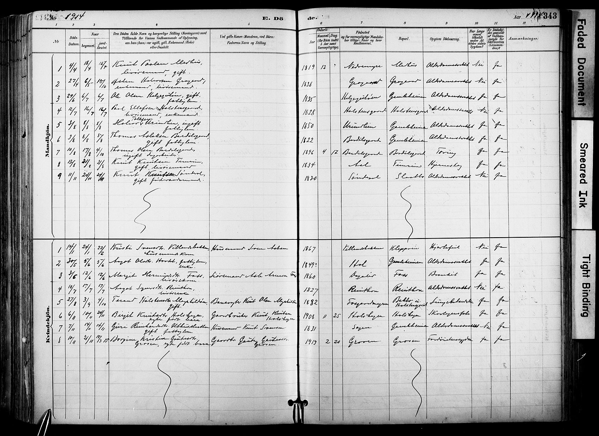 Hol kirkebøker, SAKO/A-227/F/Fa/L0003: Parish register (official) no. I 3, 1887-1918, p. 343