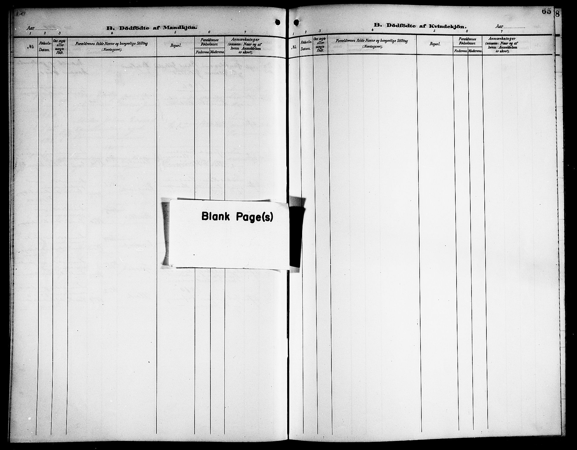 Ministerialprotokoller, klokkerbøker og fødselsregistre - Nordland, AV/SAT-A-1459/865/L0932: Parish register (copy) no. 865C04, 1901-1917, p. 65