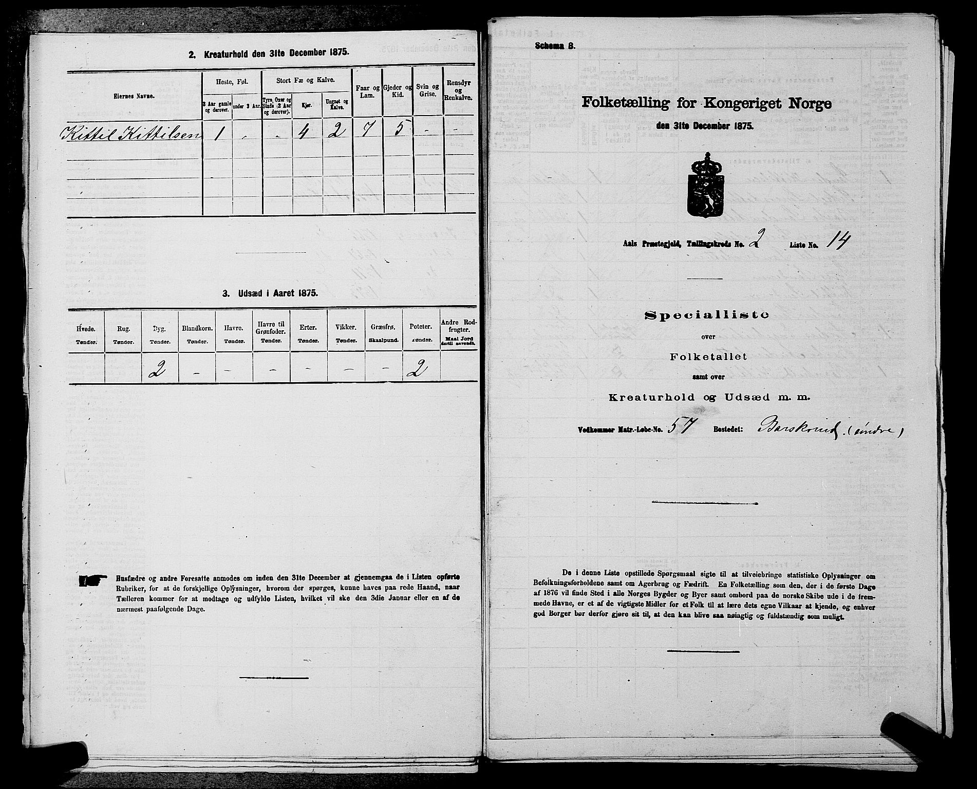 SAKO, 1875 census for 0619P Ål, 1875, p. 222