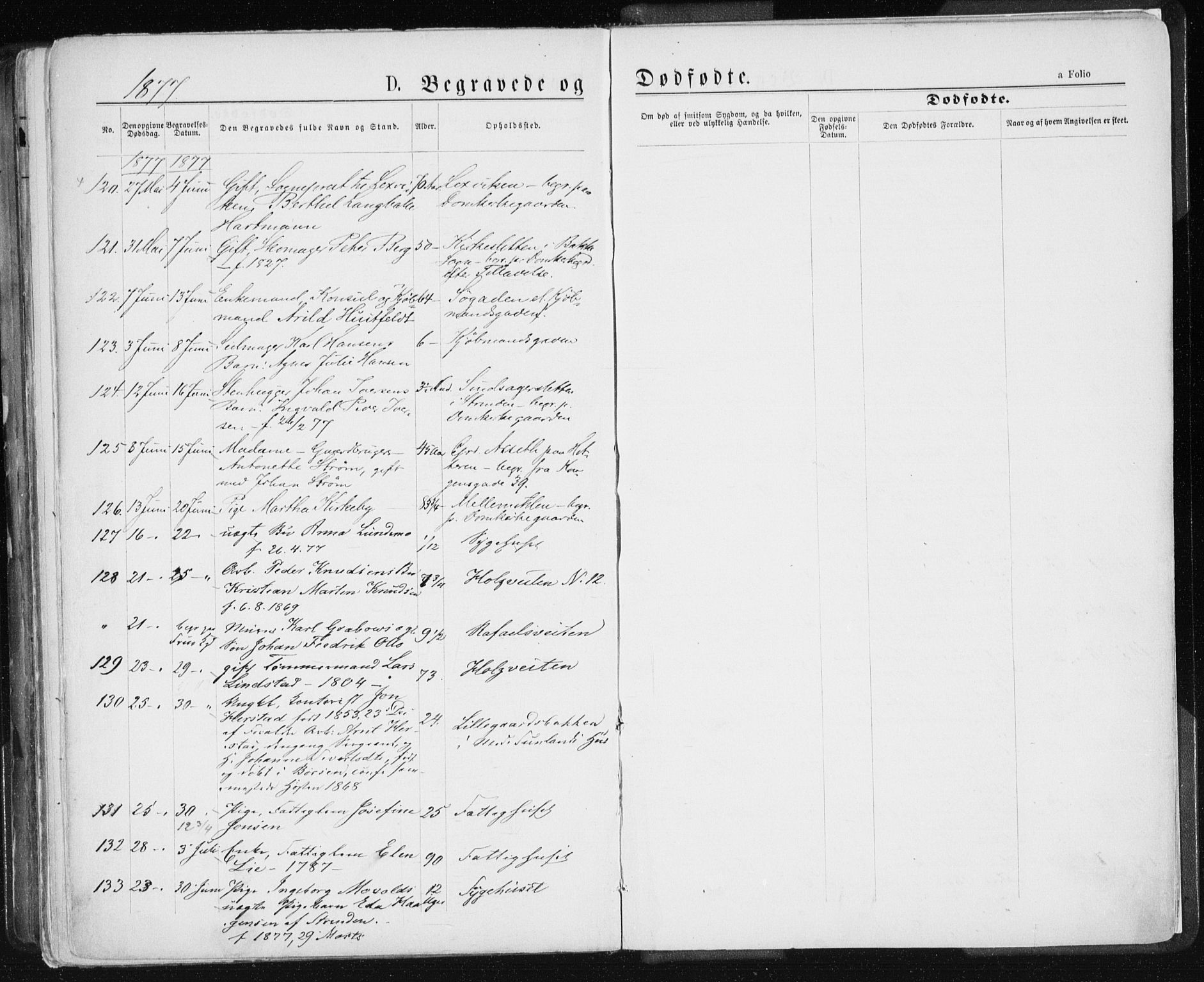 Ministerialprotokoller, klokkerbøker og fødselsregistre - Sør-Trøndelag, SAT/A-1456/601/L0055: Parish register (official) no. 601A23, 1866-1877