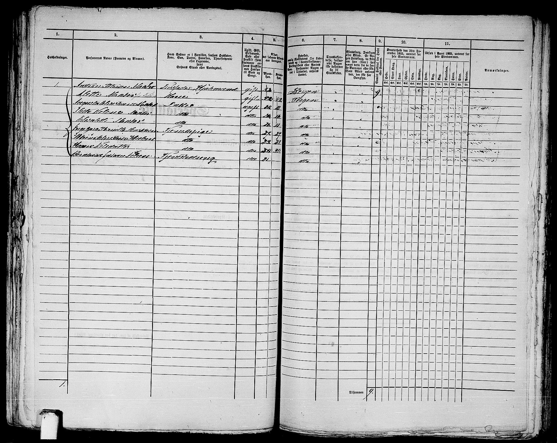 RA, 1865 census for Bergen, 1865, p. 816