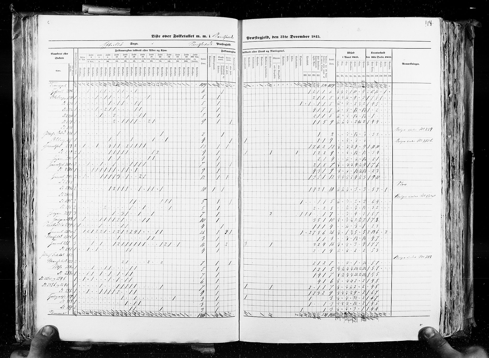 RA, Census 1845, vol. 4: Buskerud amt og Jarlsberg og Larvik amt, 1845, p. 104