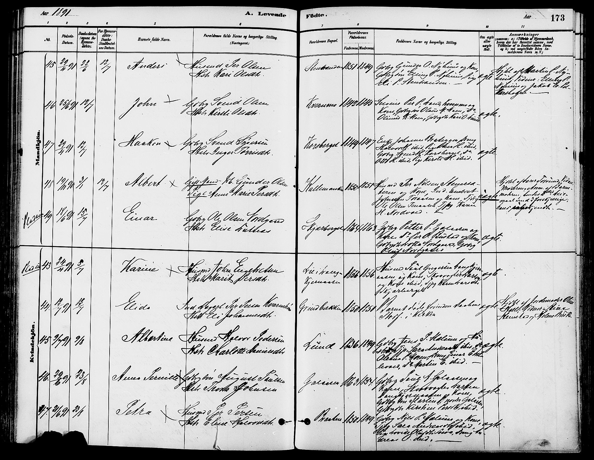 Trysil prestekontor, SAH/PREST-046/H/Ha/Haa/L0008: Parish register (official) no. 8, 1881-1897, p. 173