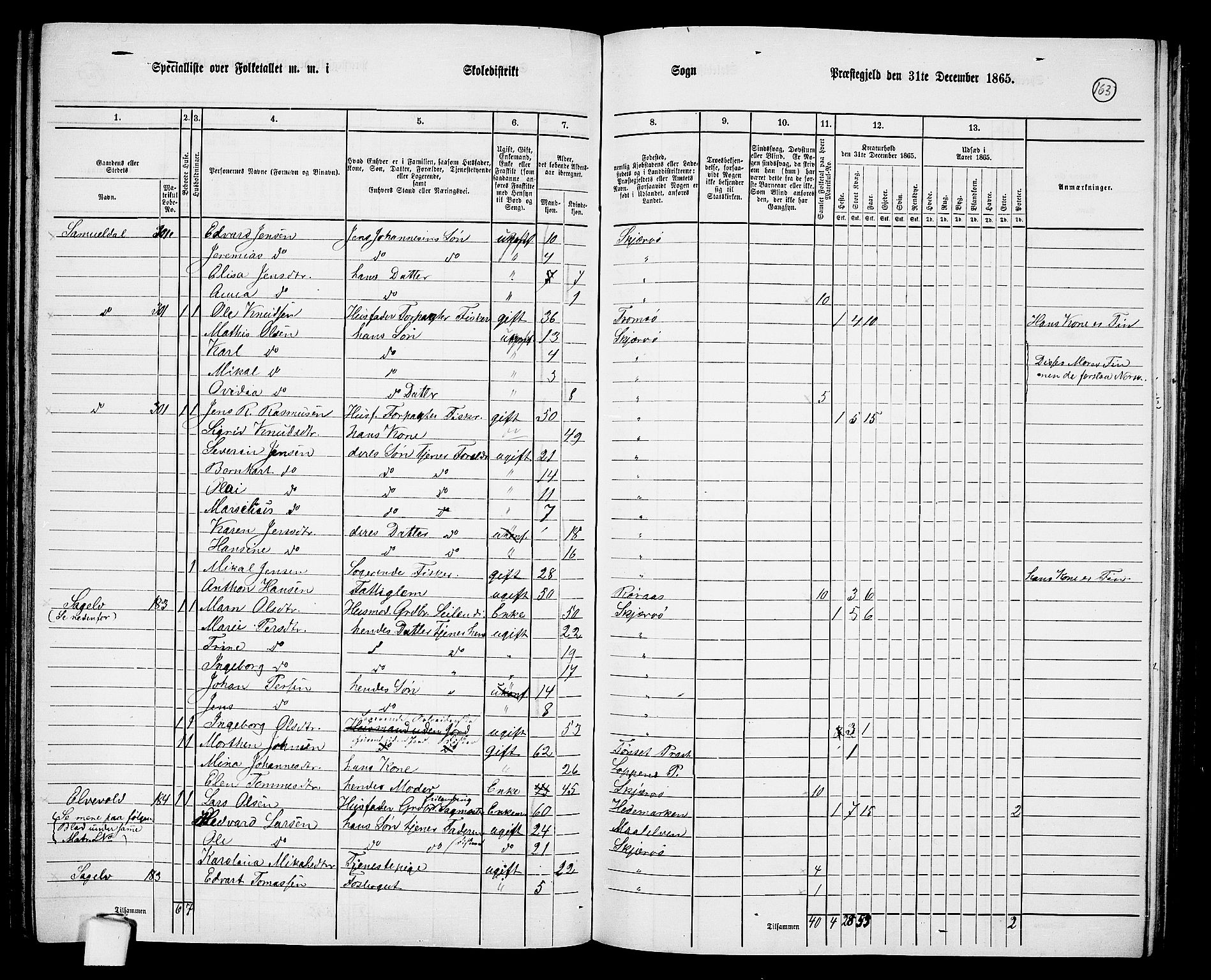 RA, 1865 census for Skjervøy, 1865, p. 45