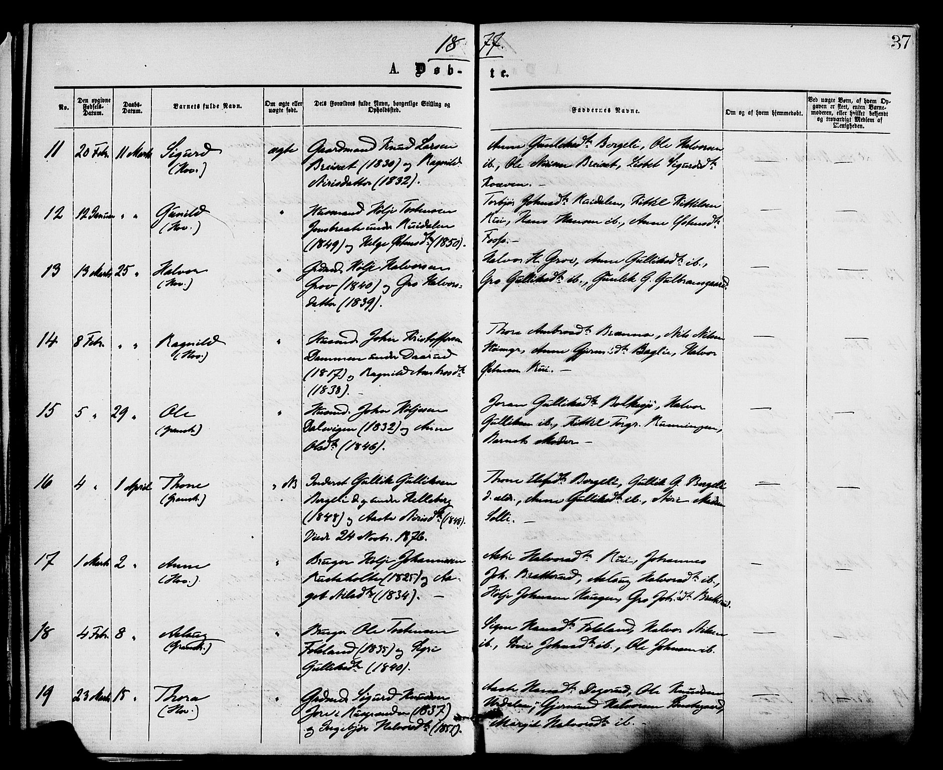 Gransherad kirkebøker, AV/SAKO-A-267/F/Fa/L0004: Parish register (official) no. I 4, 1871-1886, p. 37