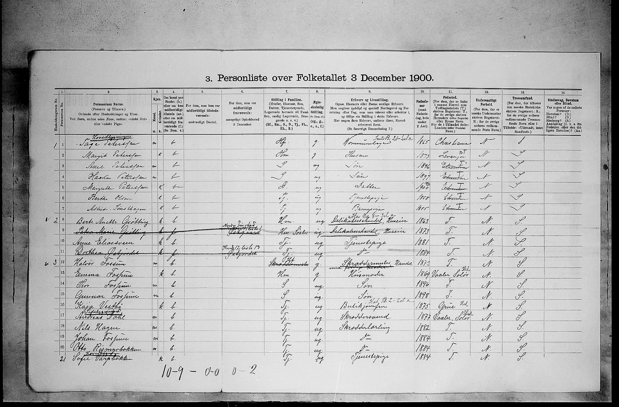 SAH, 1900 census for Elverum, 1900, p. 894