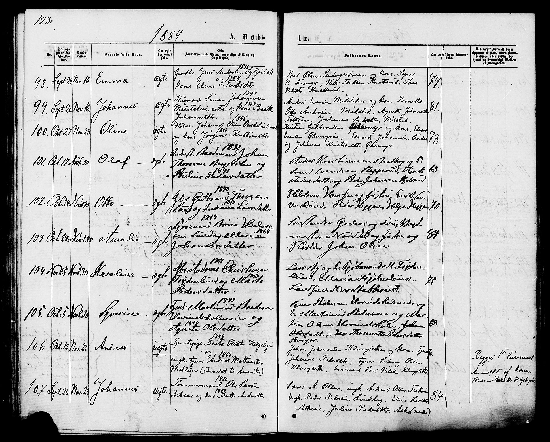 Nes prestekontor, Hedmark, AV/SAH-PREST-020/K/Ka/L0005: Parish register (official) no. 5, 1872-1886, p. 123