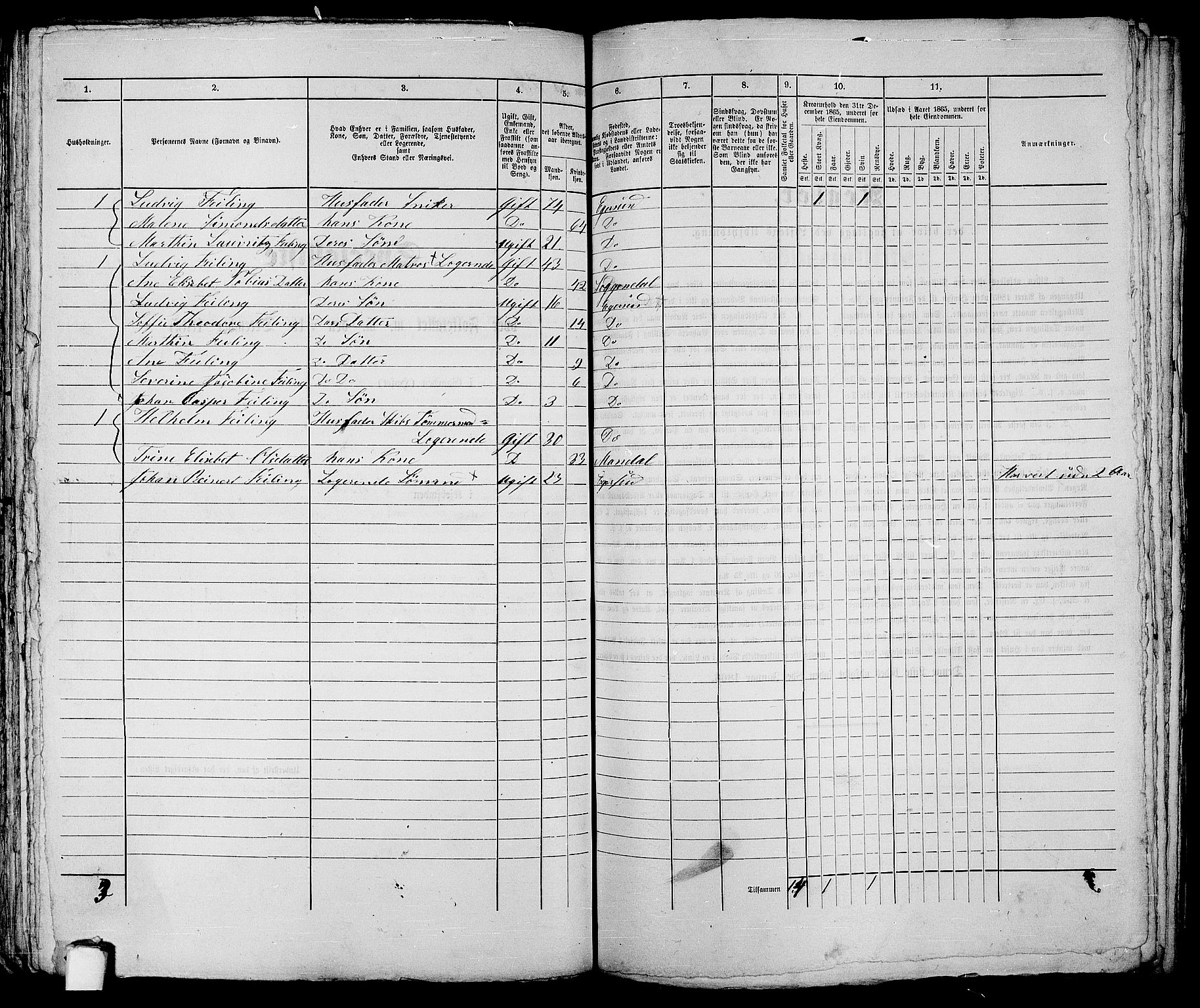 RA, 1865 census for Eigersund parish, Egersund town, 1865, p. 166