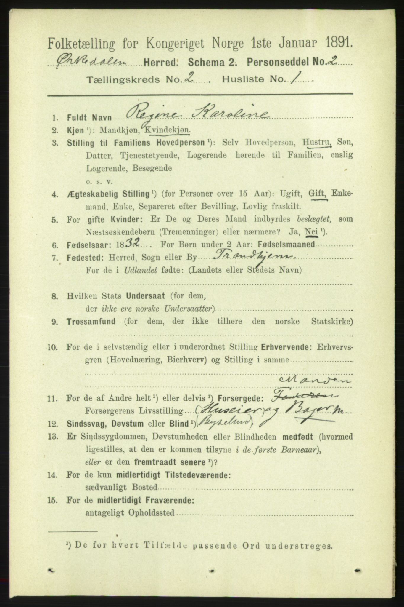 RA, 1891 census for 1638 Orkdal, 1891, p. 955