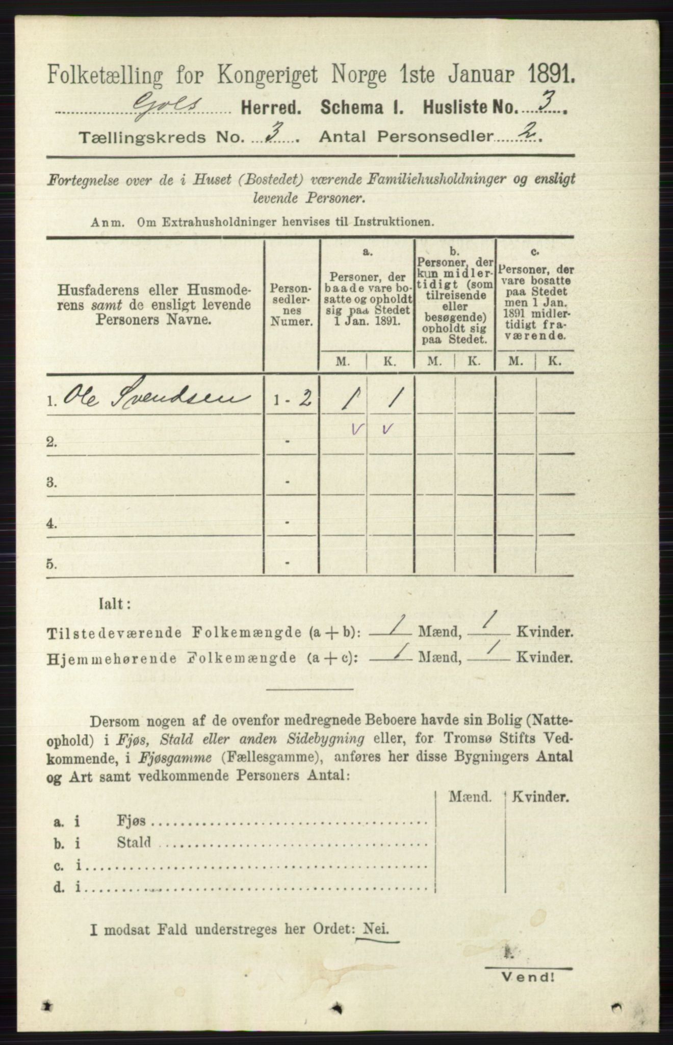 RA, 1891 census for 0617 Gol og Hemsedal, 1891, p. 1197