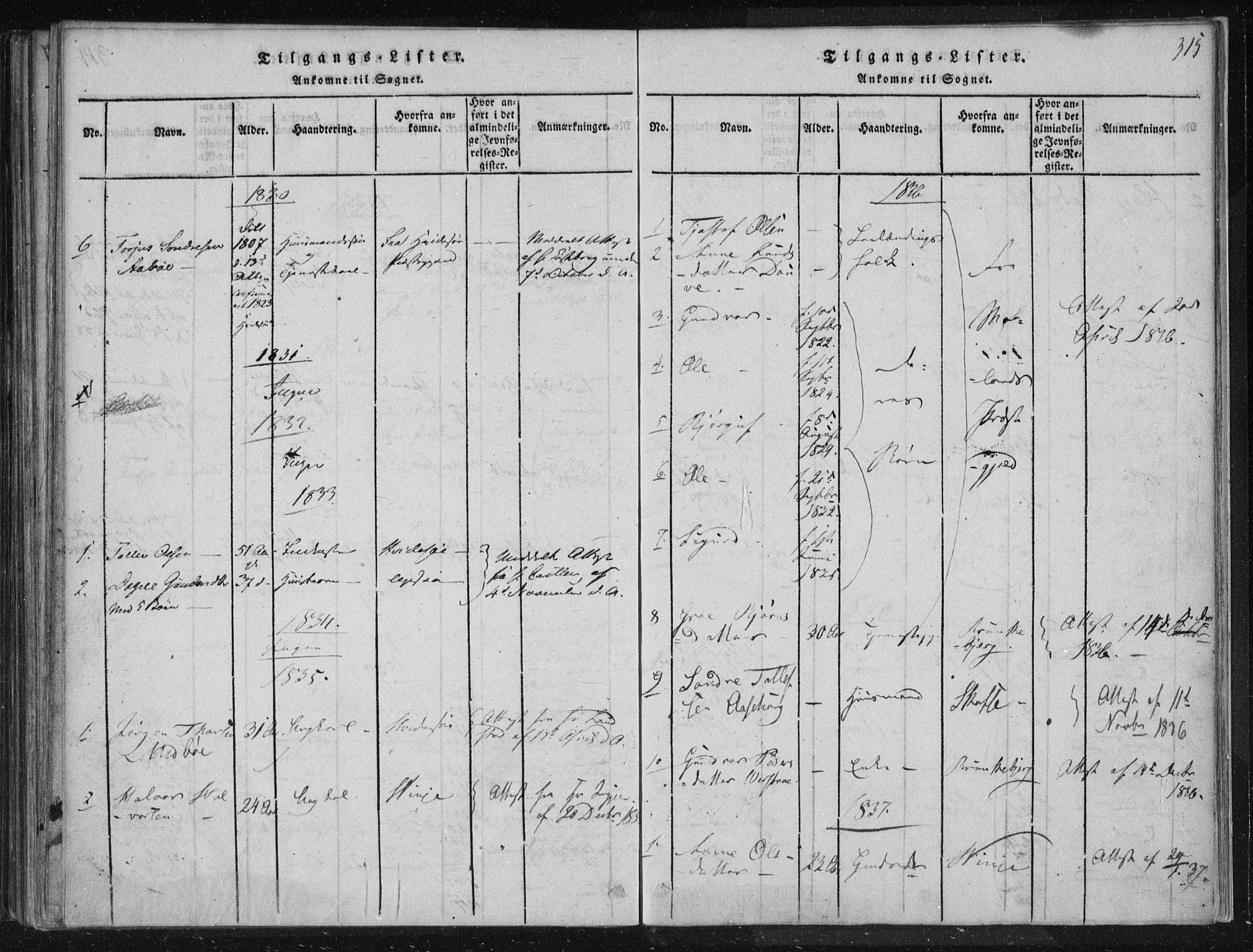 Lårdal kirkebøker, SAKO/A-284/F/Fc/L0001: Parish register (official) no. III 1, 1815-1860, p. 315