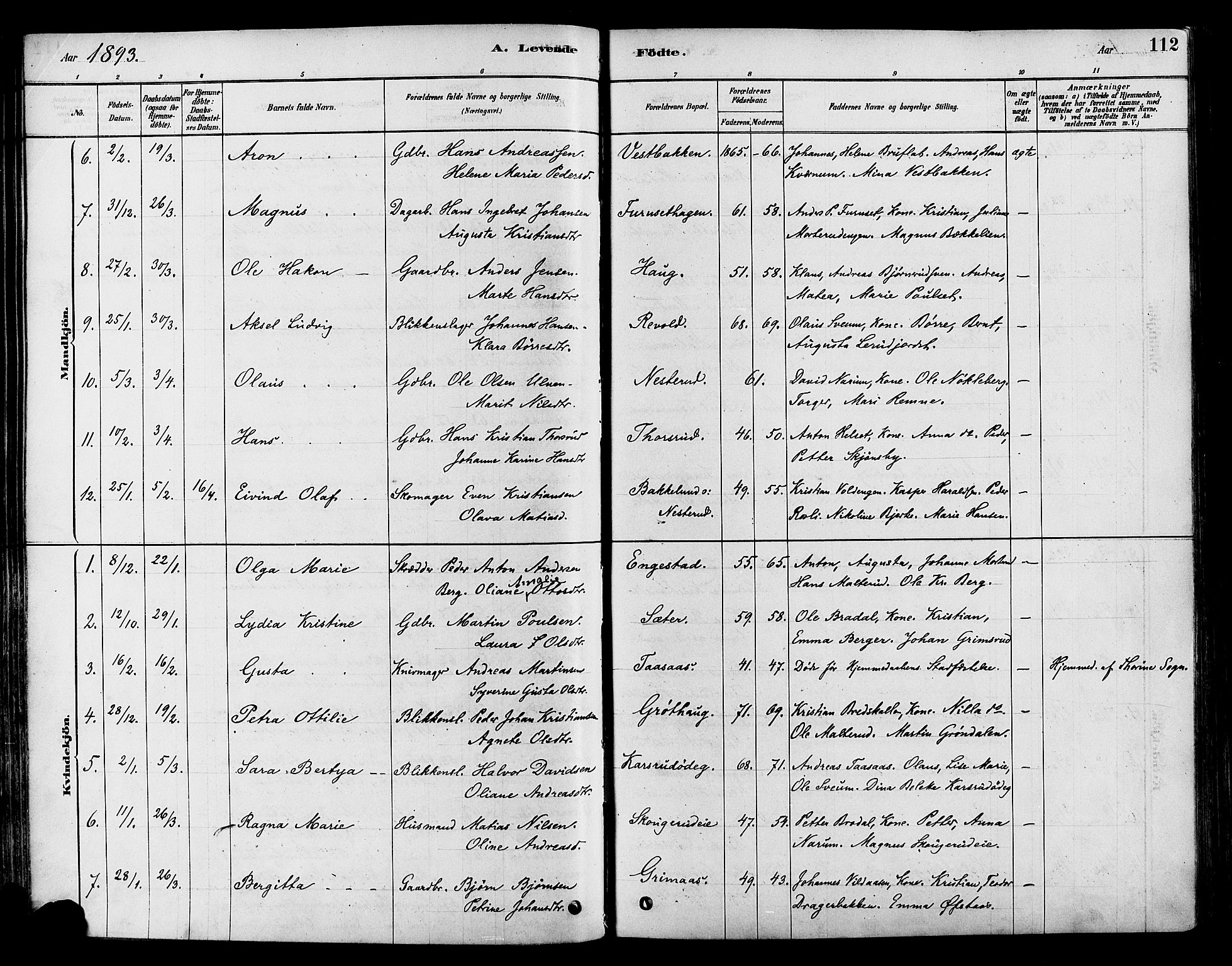 Vestre Toten prestekontor, SAH/PREST-108/H/Ha/Haa/L0009: Parish register (official) no. 9, 1878-1894, p. 112