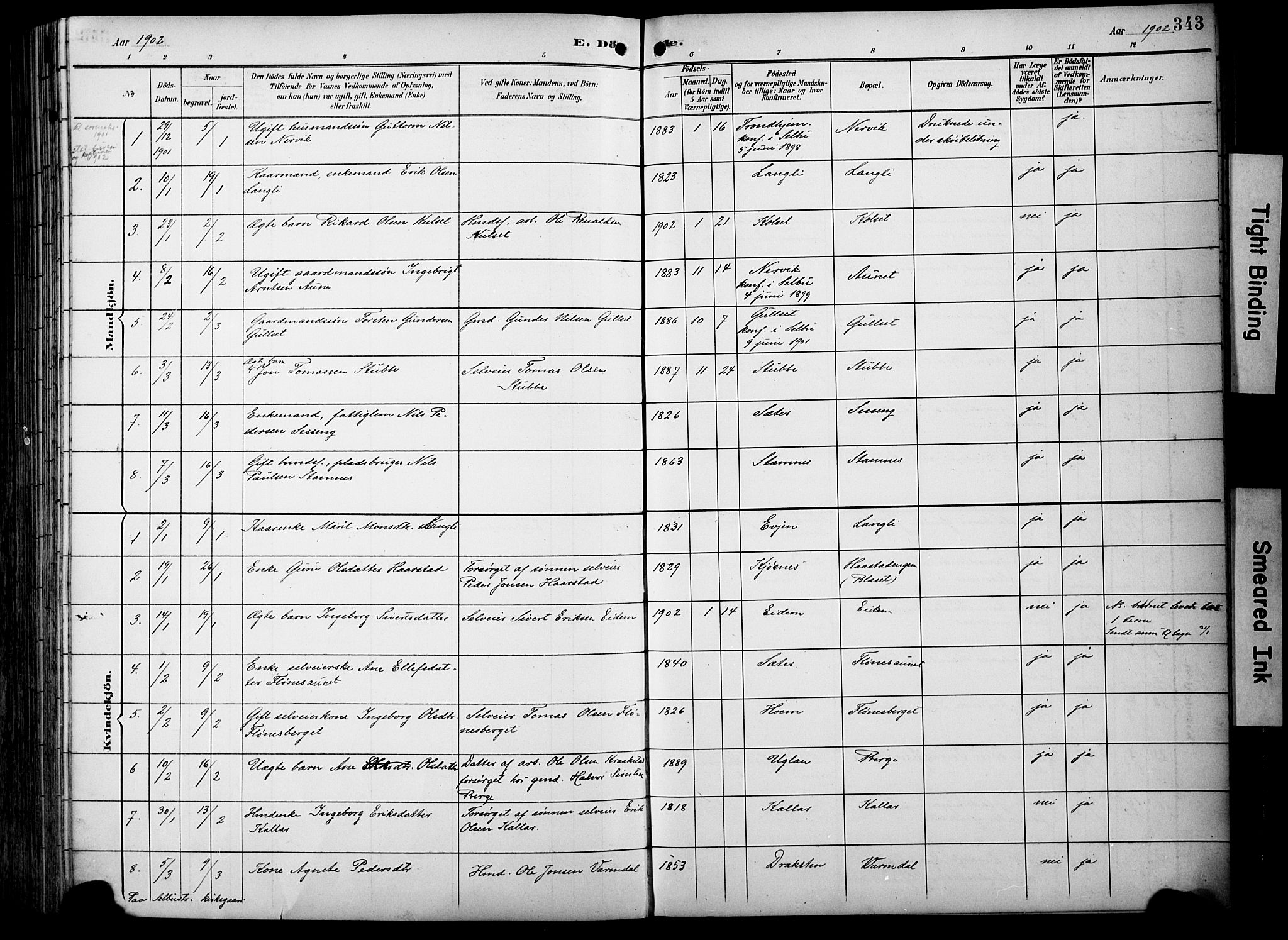 Ministerialprotokoller, klokkerbøker og fødselsregistre - Sør-Trøndelag, SAT/A-1456/695/L1149: Parish register (official) no. 695A09, 1891-1902, p. 343