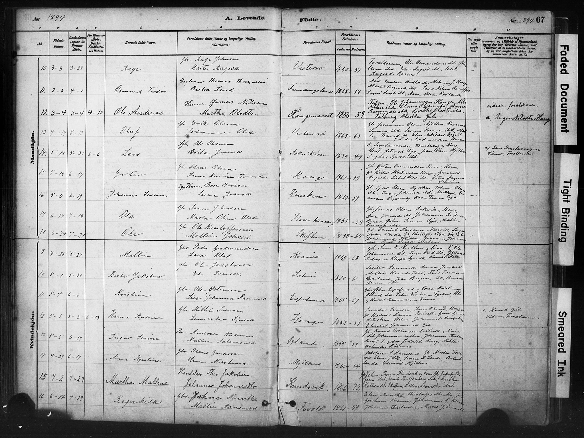 Hjelmeland sokneprestkontor, AV/SAST-A-101843/01/IV/L0014: Parish register (official) no. A 14, 1879-1900, p. 67