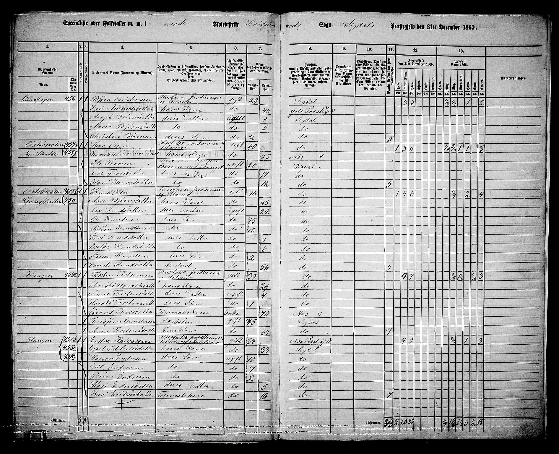 RA, 1865 census for Sigdal, 1865, p. 276