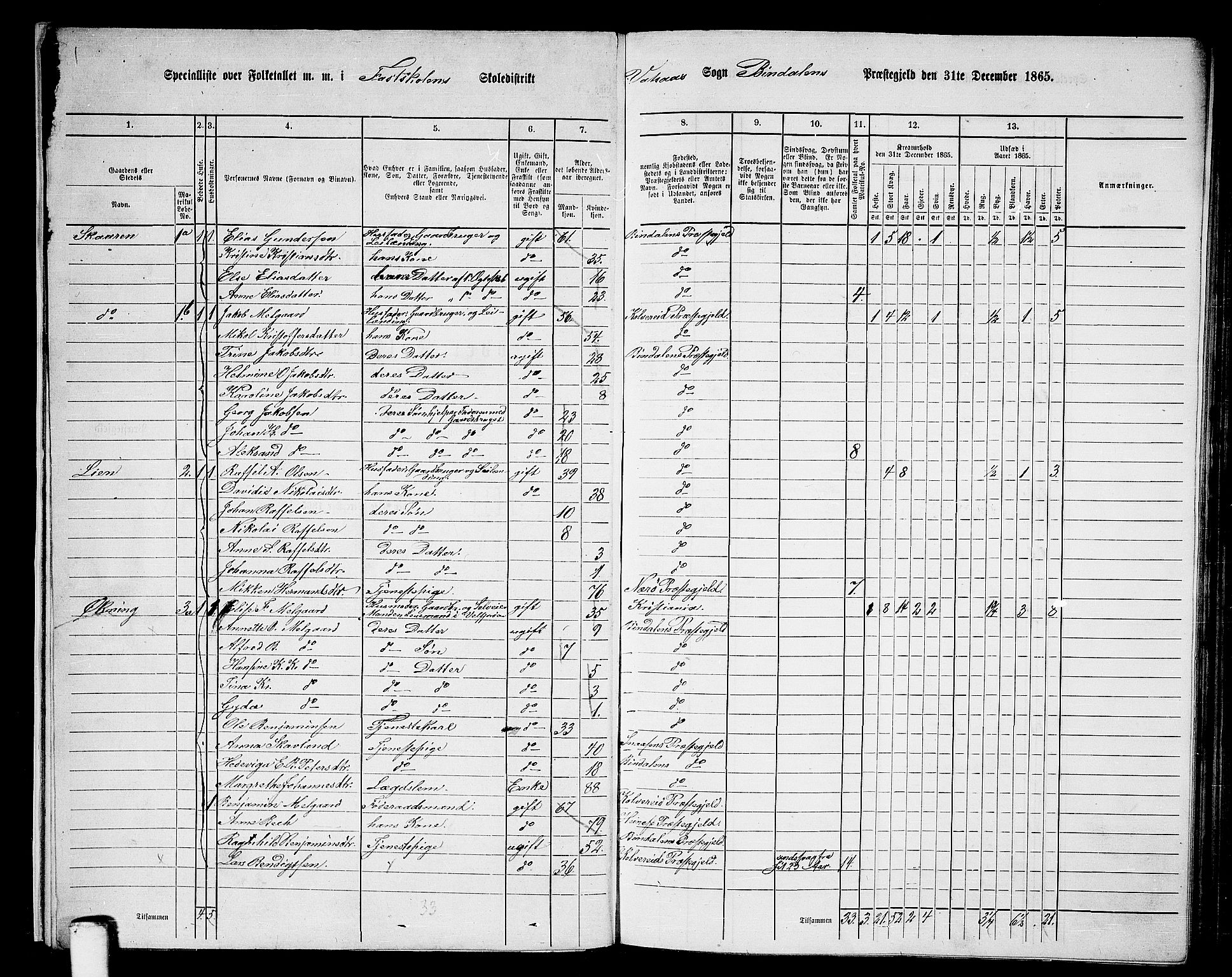 RA, 1865 census for Bindal, 1865, p. 10