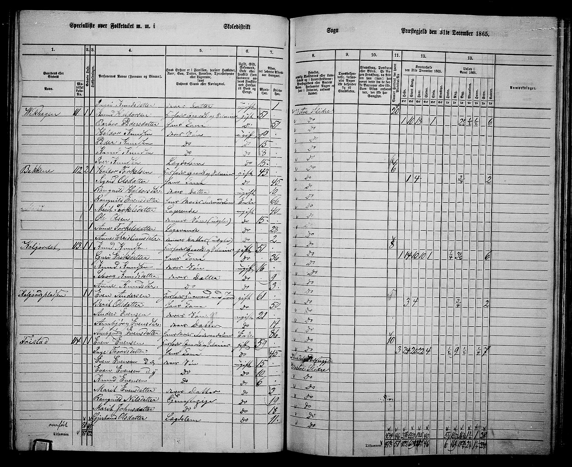 RA, 1865 census for Vestre Slidre, 1865, p. 74