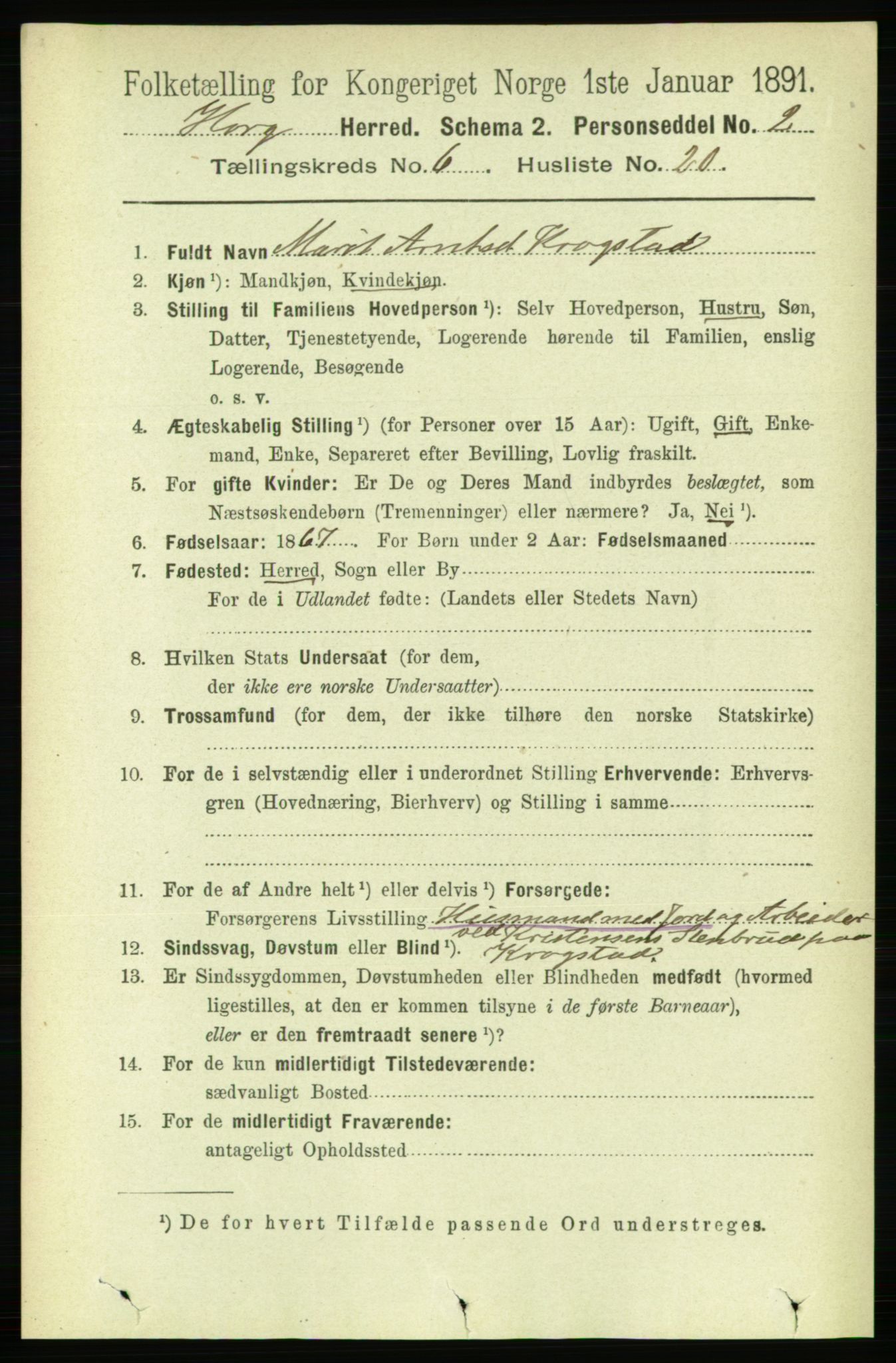 RA, 1891 census for 1650 Horg, 1891, p. 2519