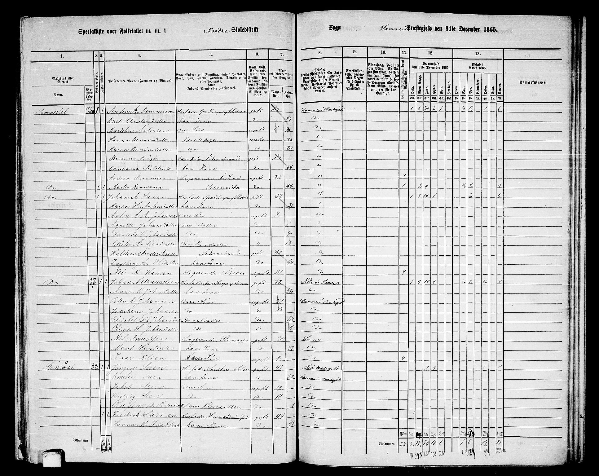 RA, 1865 census for Hamarøy, 1865, p. 19