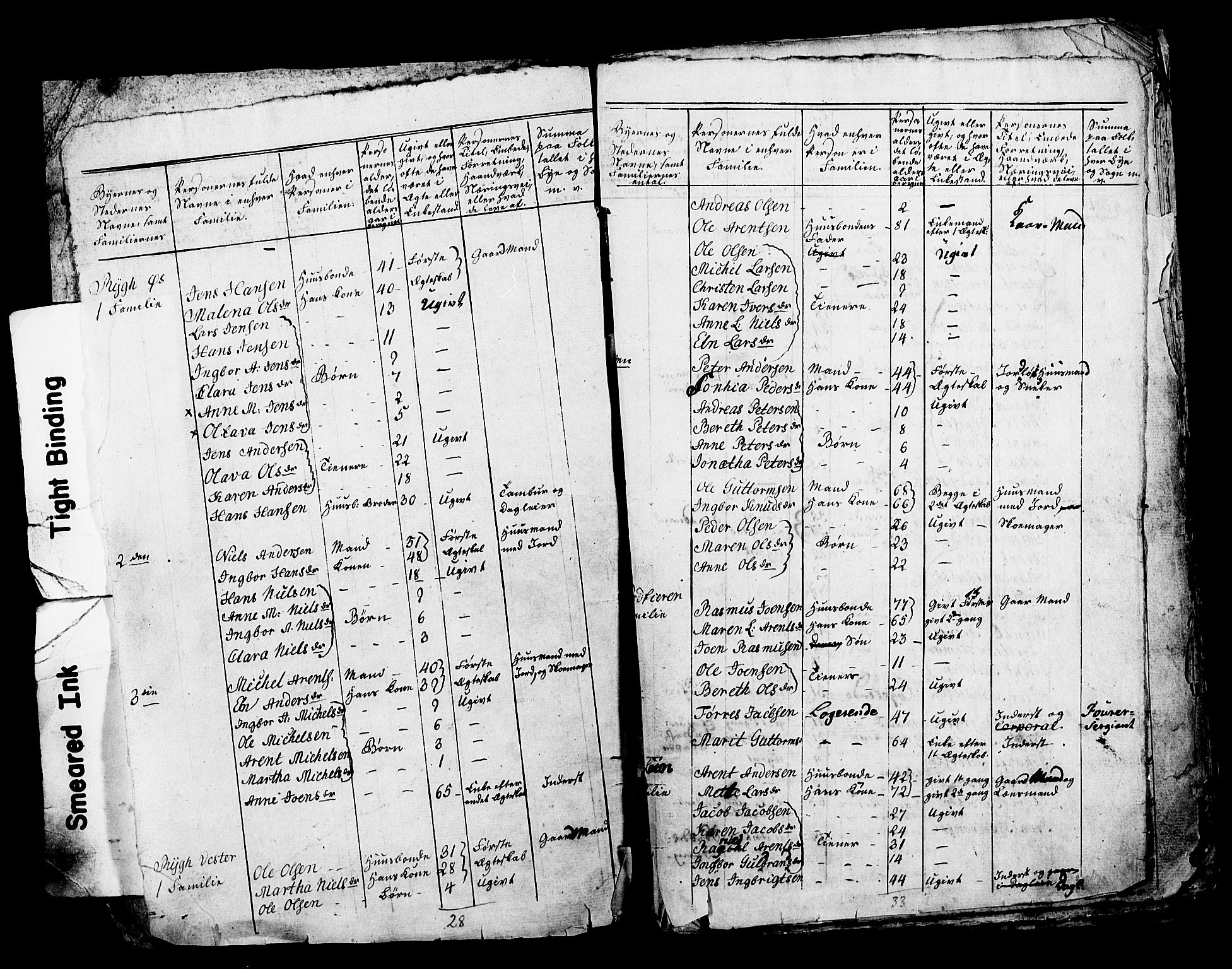 SAT, Local Census 1800 for Frosta, 1800, p. 3