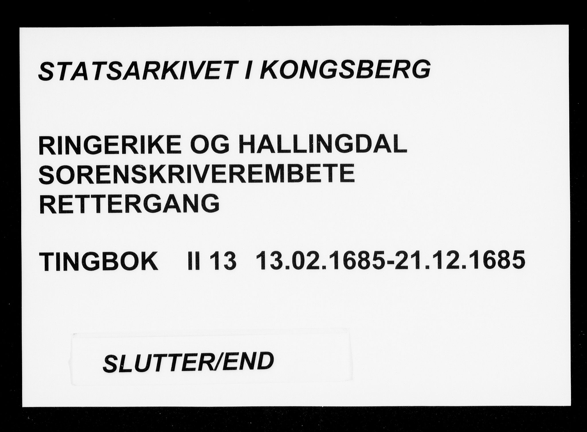 Ringerike og Hallingdal sorenskriveri, AV/SAKO-A-81/F/Fa/Fab/L0013: Tingbok - Sorenskriveriet, 1685